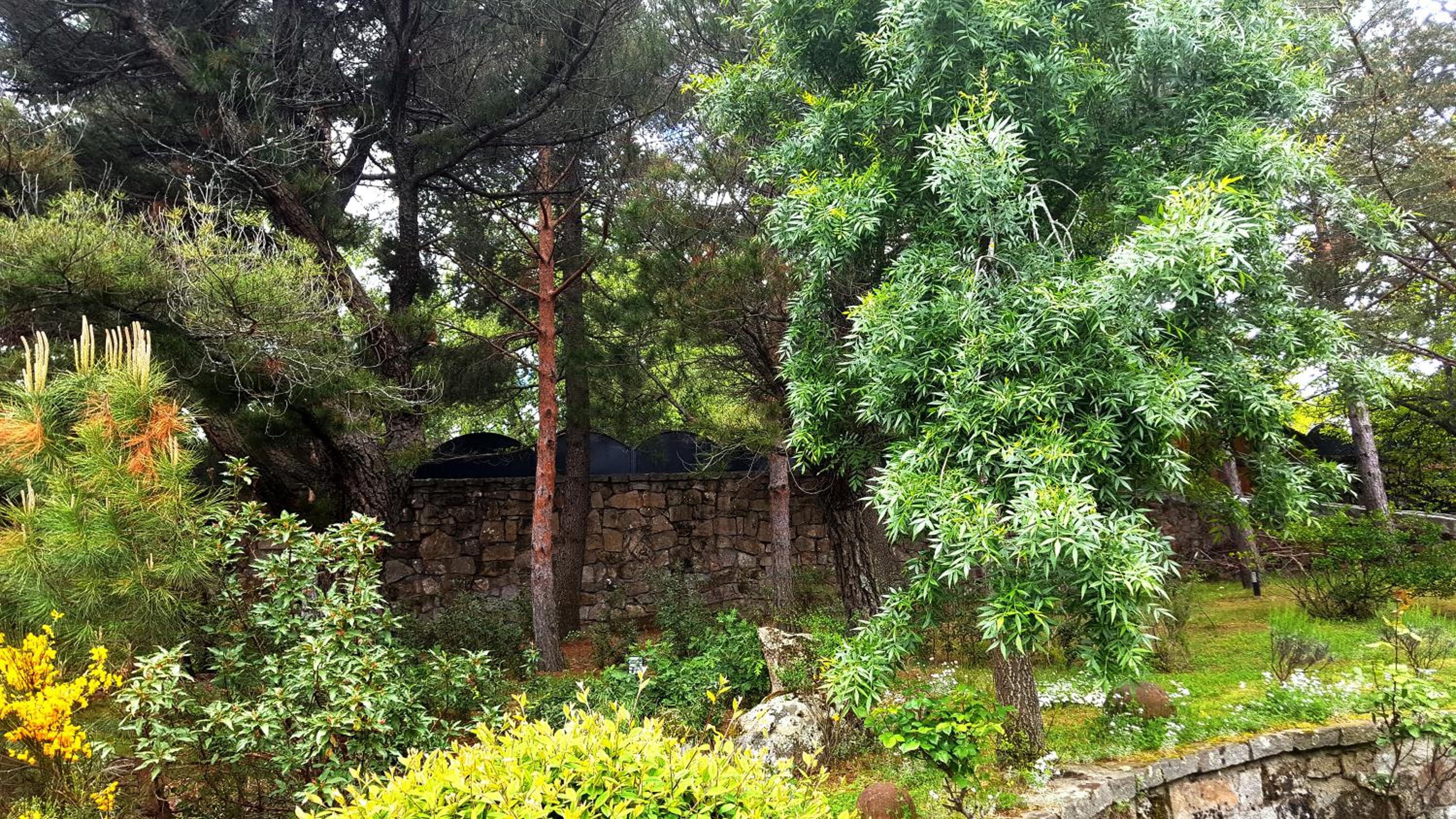 Photo 7