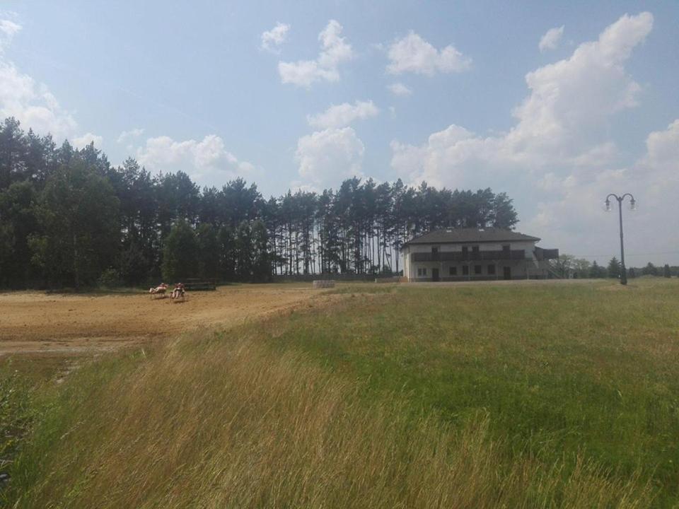 Photo 44