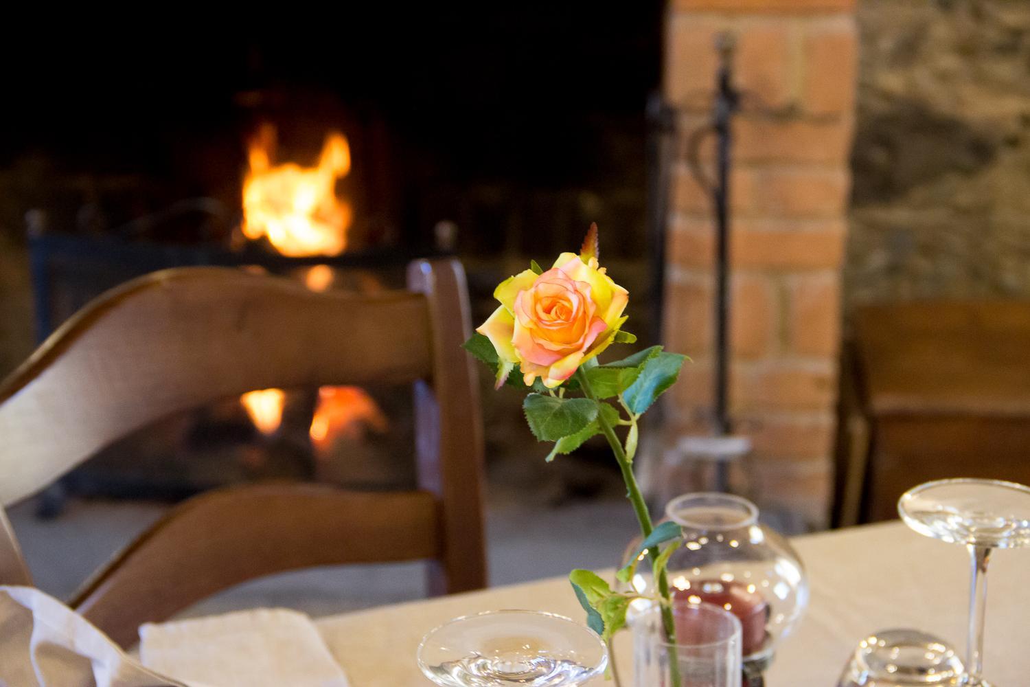 La Rosa Nel Bicchiere