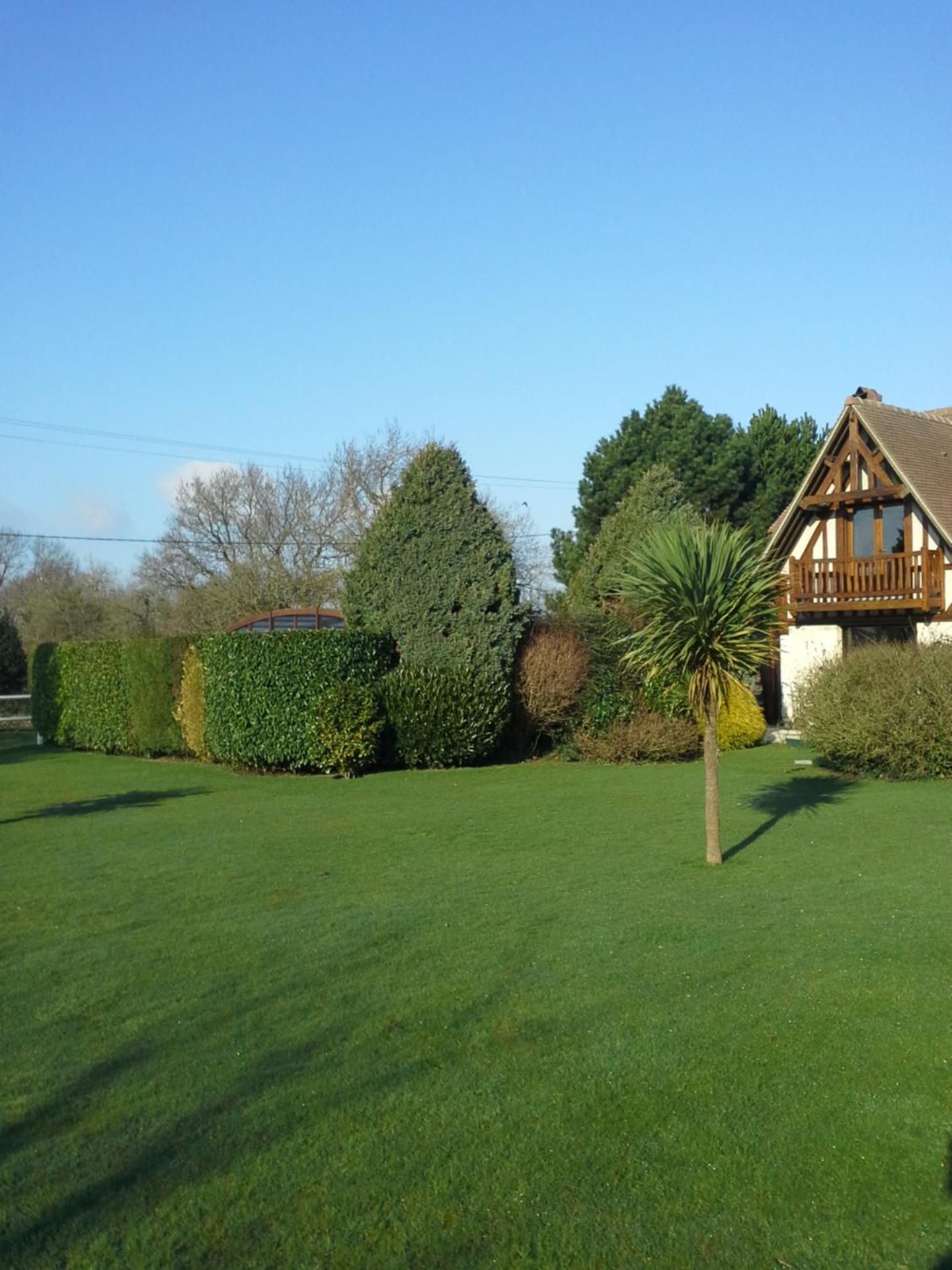 Photo 16