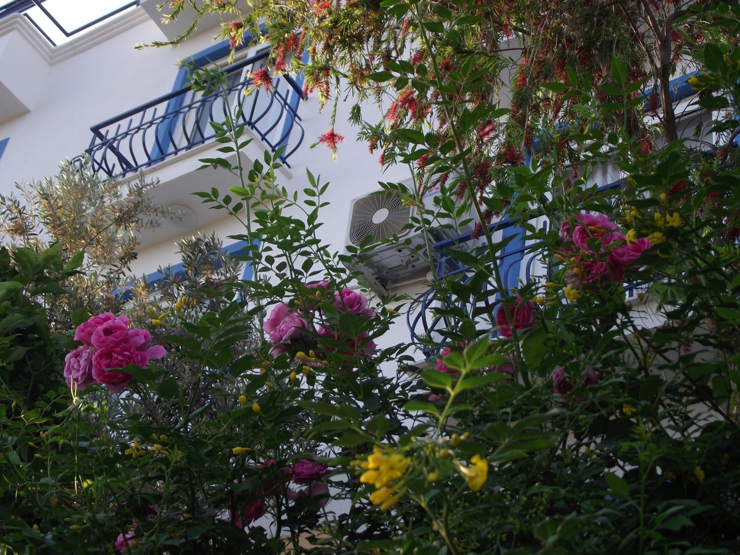 Miramar Pansiyon