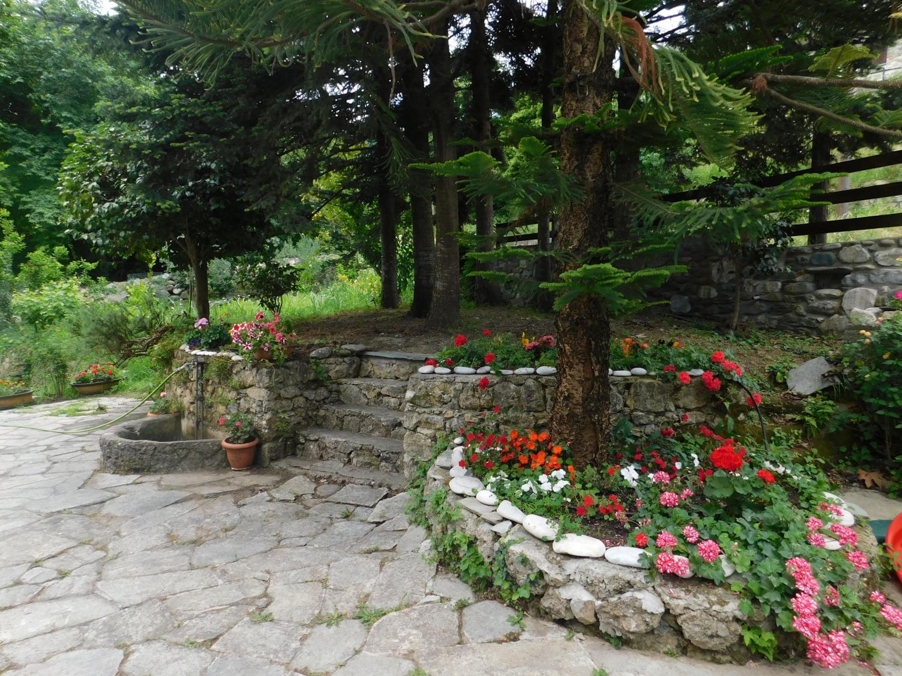 Photo 44
