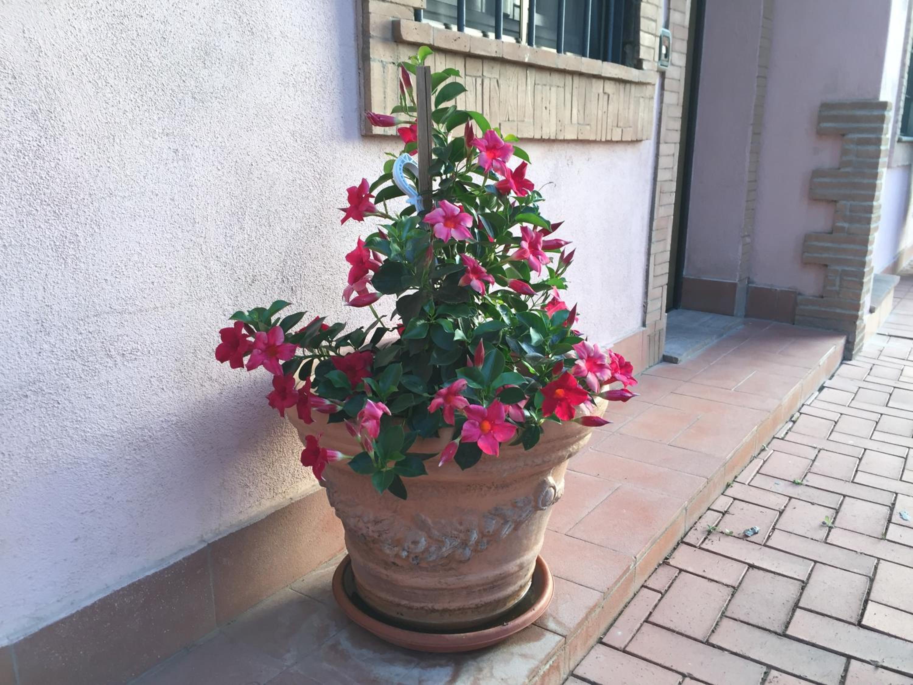 Azienda Agricola Sinisi