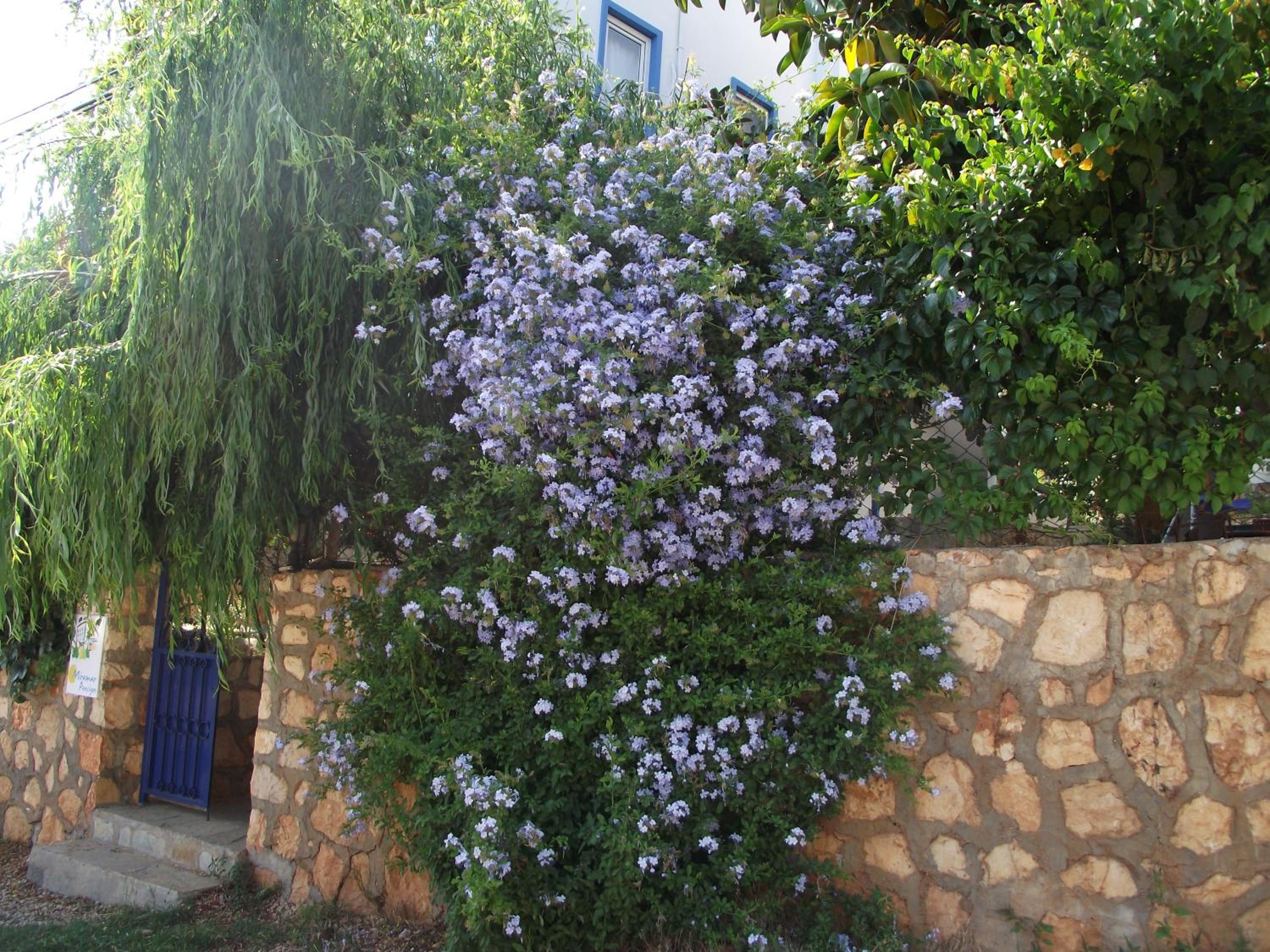 Miramar Pansiyon