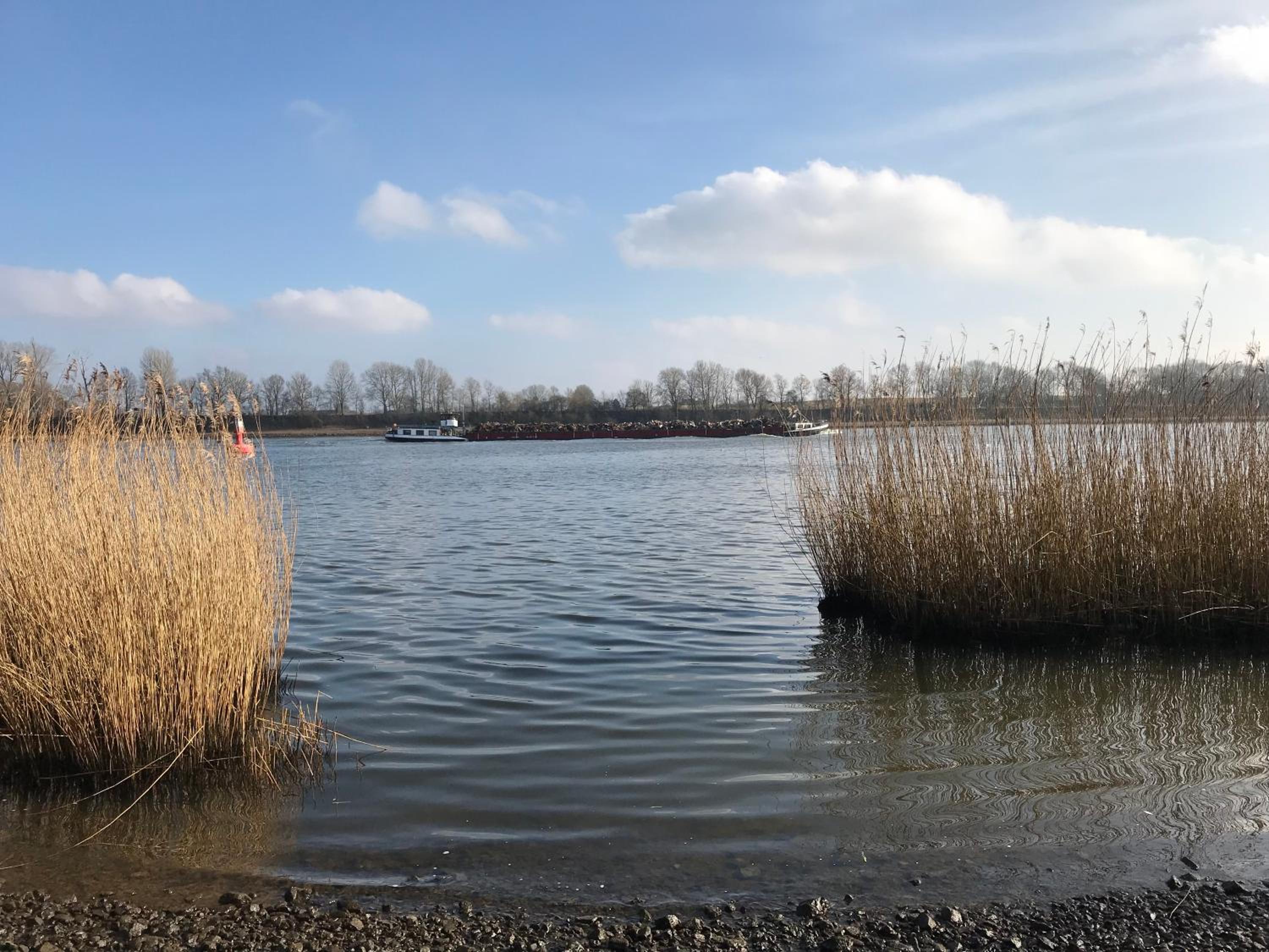 Schirnaublick