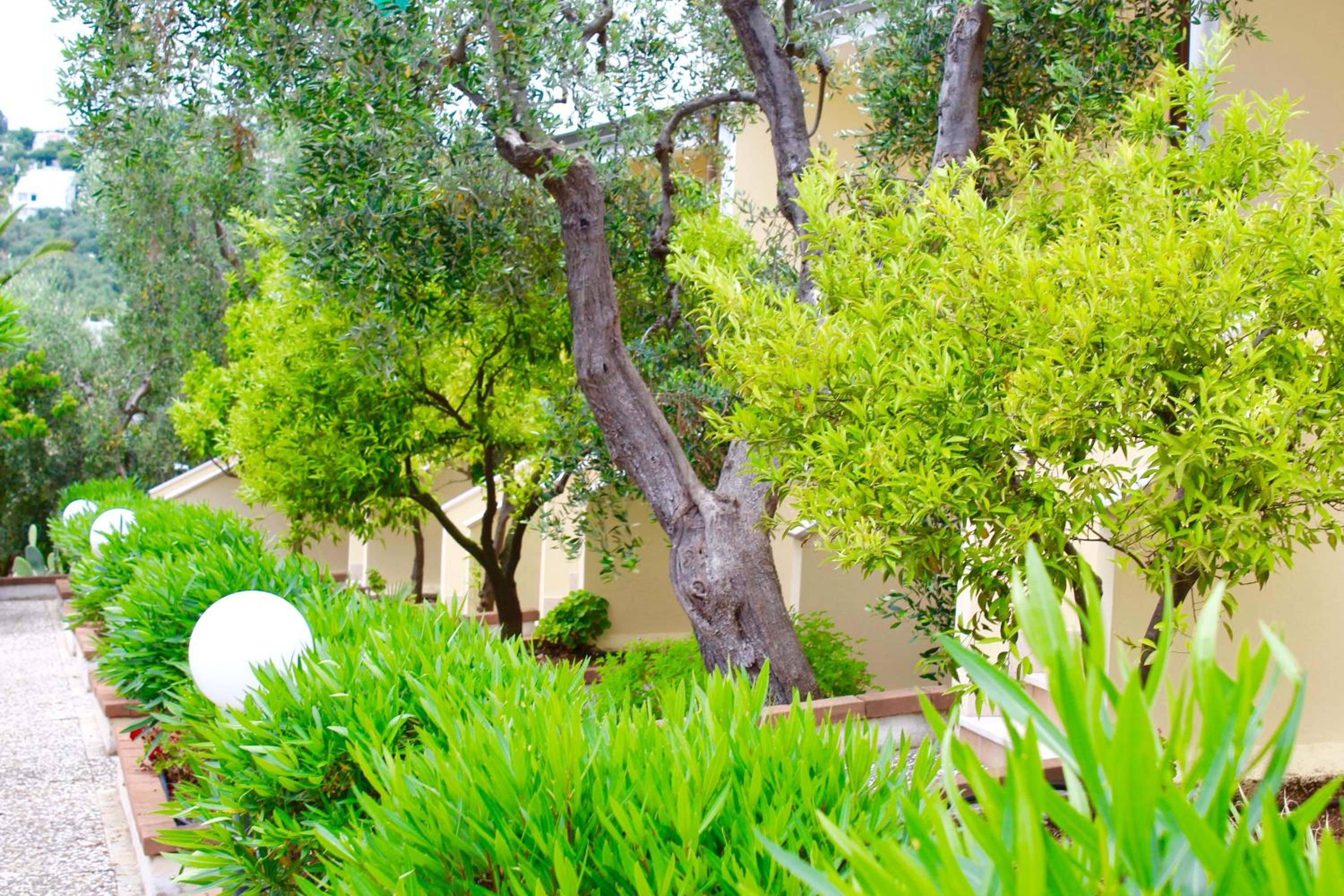 garden