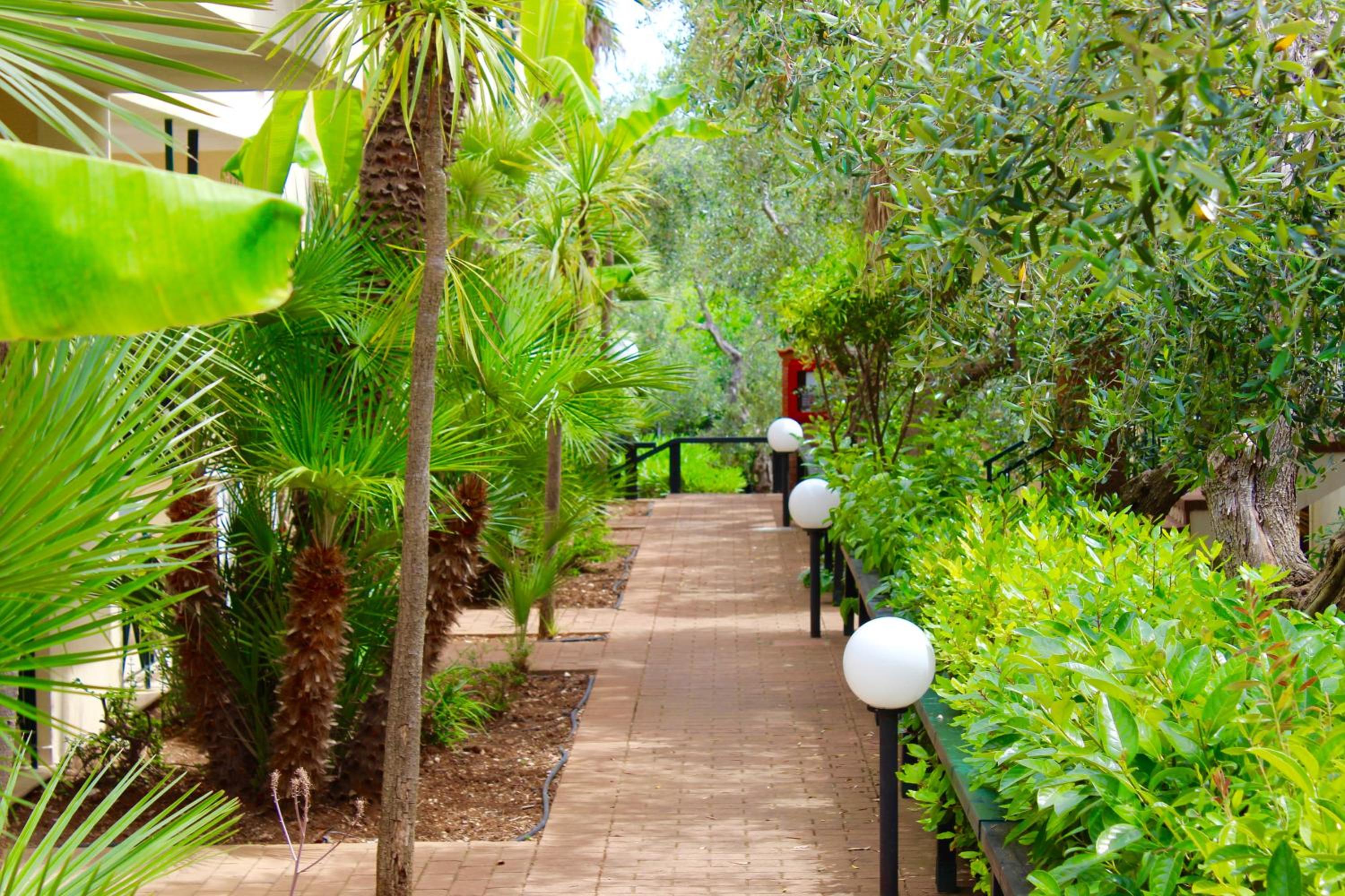 garden