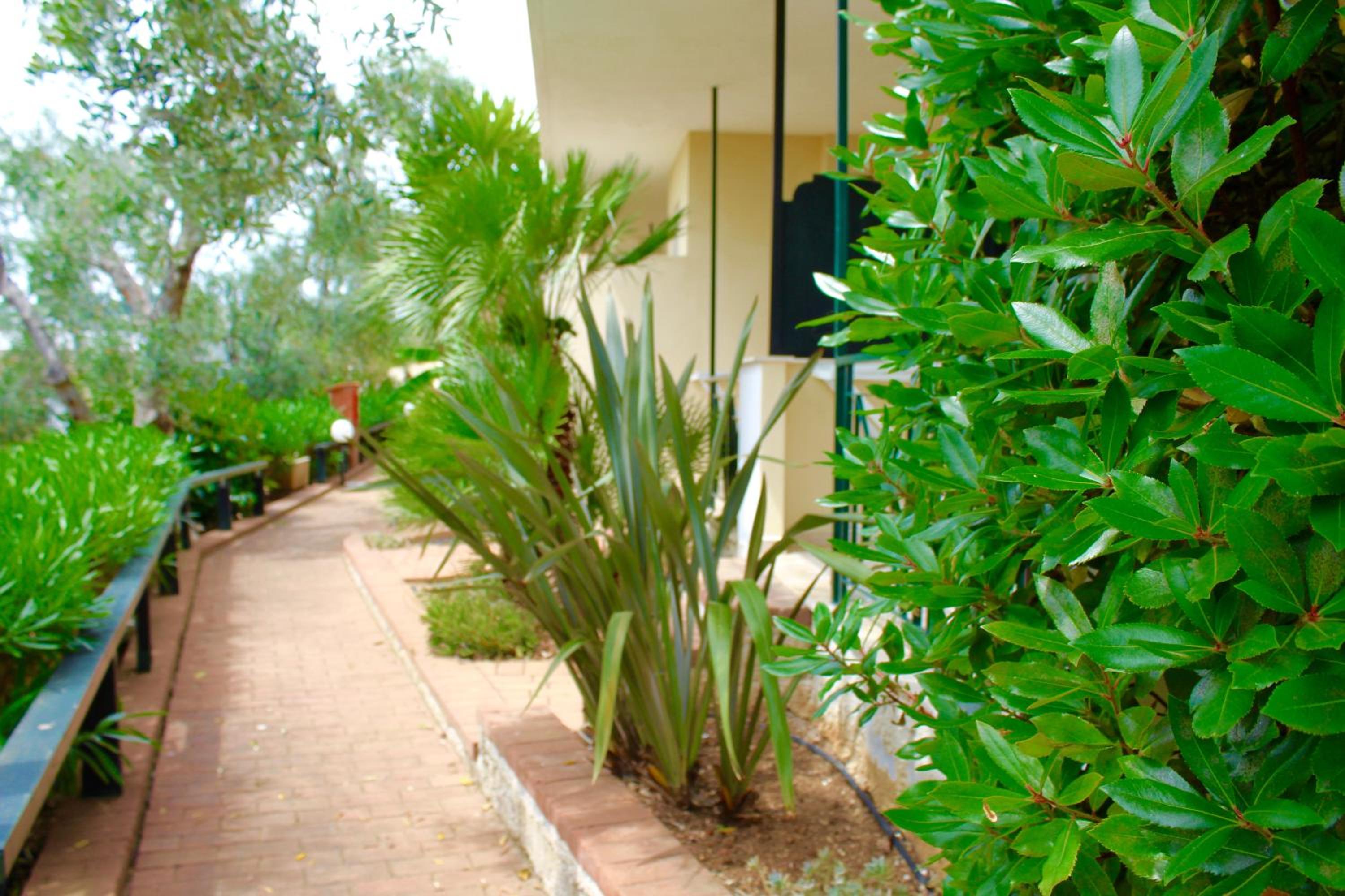 garden
