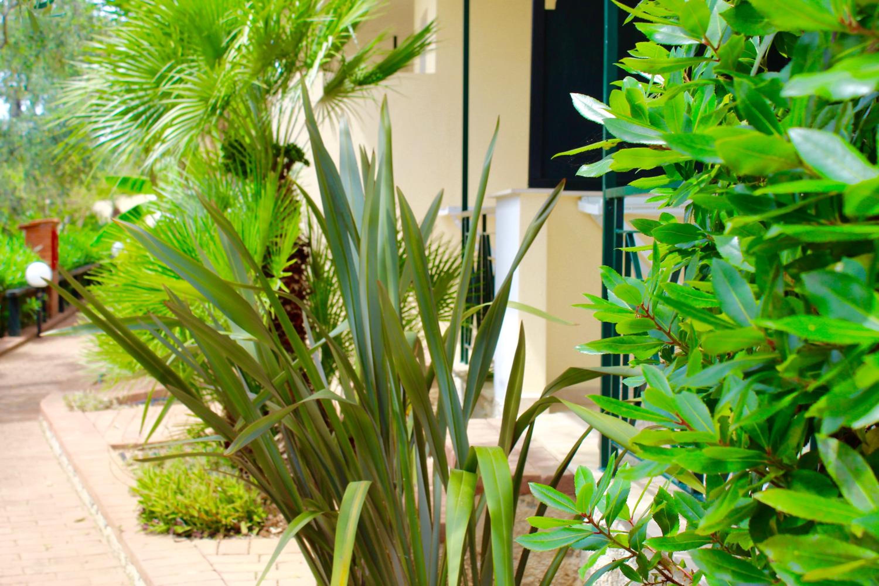 garden
