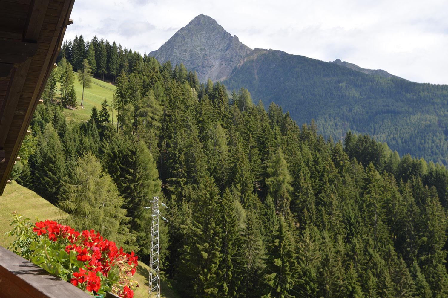 Ferienwohnung Leachwies photo 5