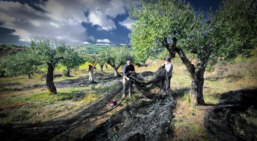 Alojamiento Rural La Cañada