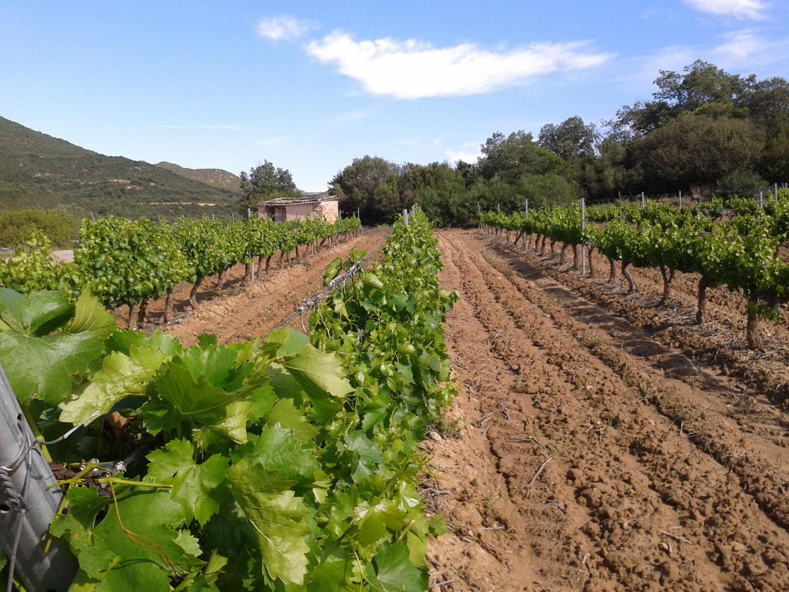 Alojamiento Rural La Cañada