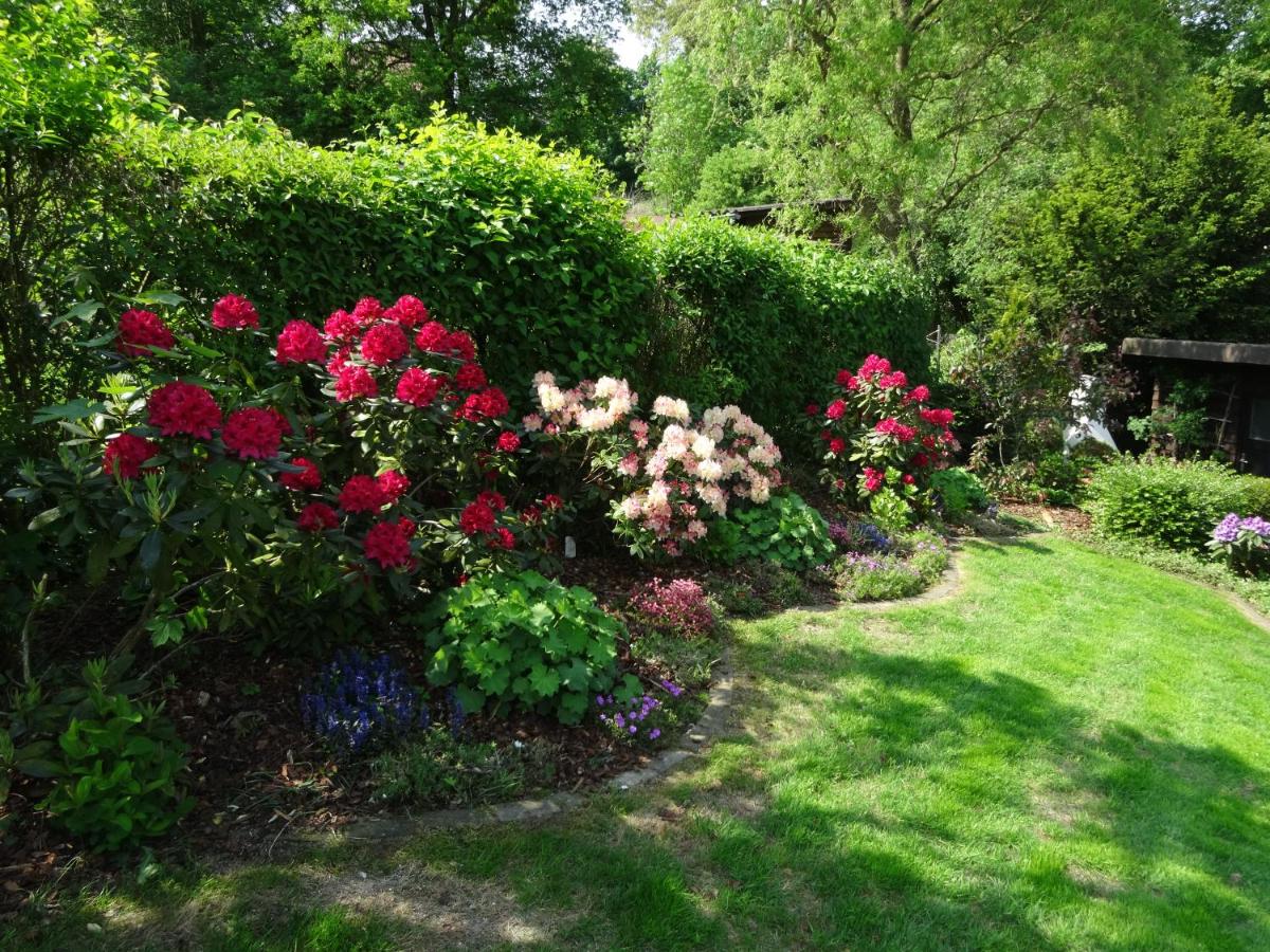 Photo 28
