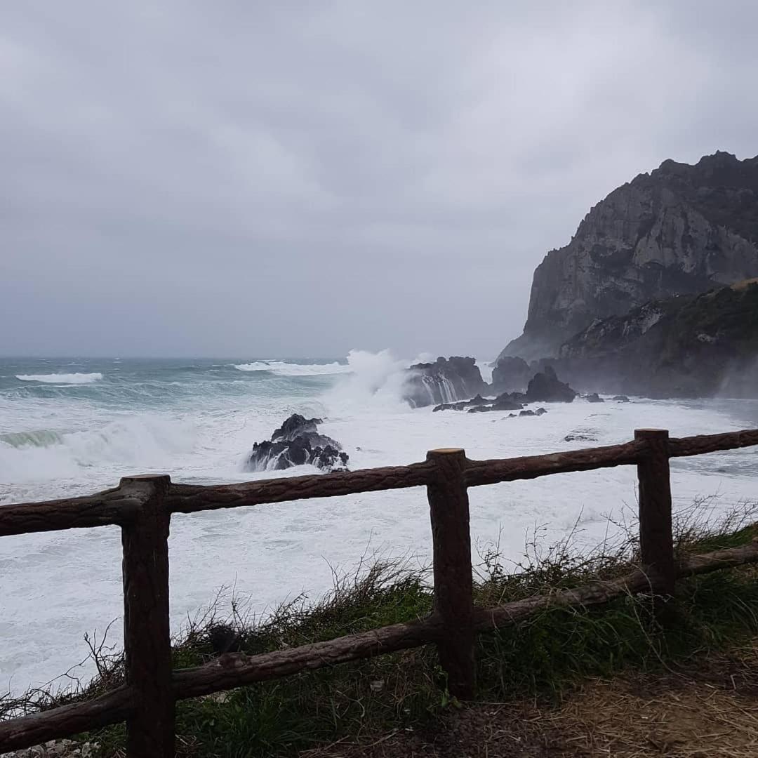 푸른제주 펜션