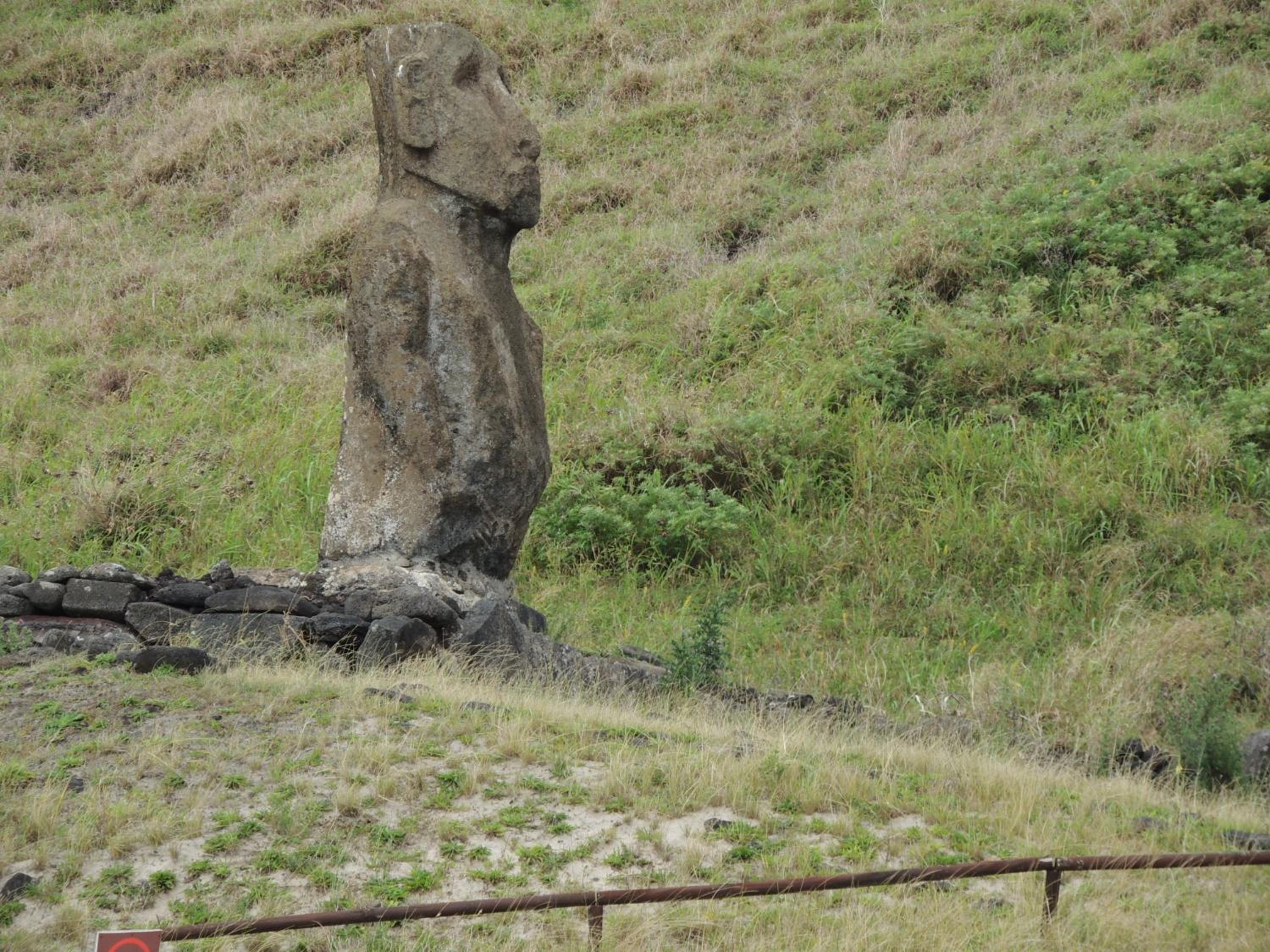 Cabañas Moenga