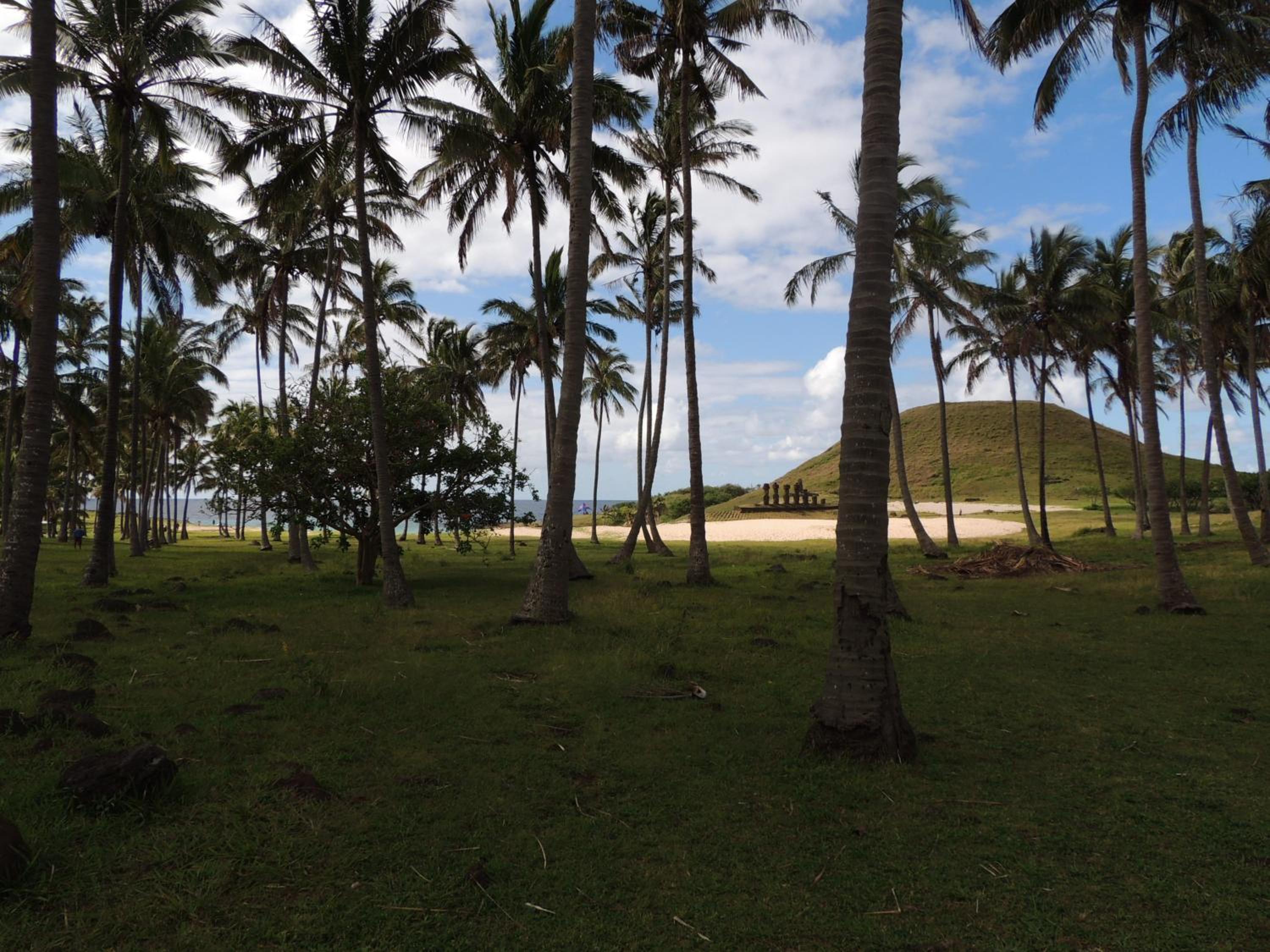 Cabañas Moenga
