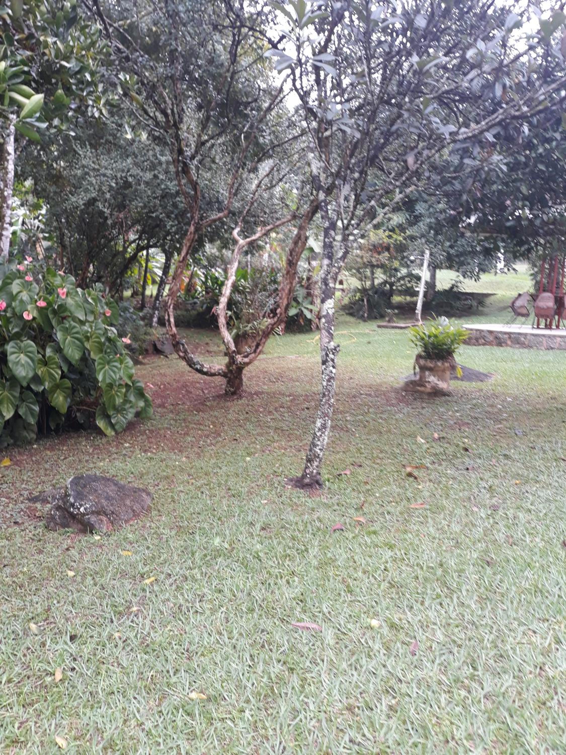Photo 38