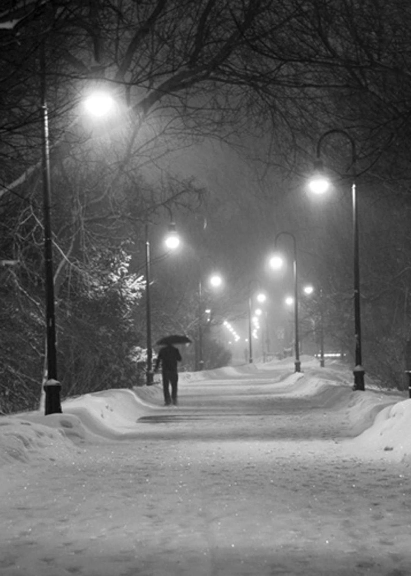 Boston Vacations - The Morrison House Bed and Breakfast - Property Image 4