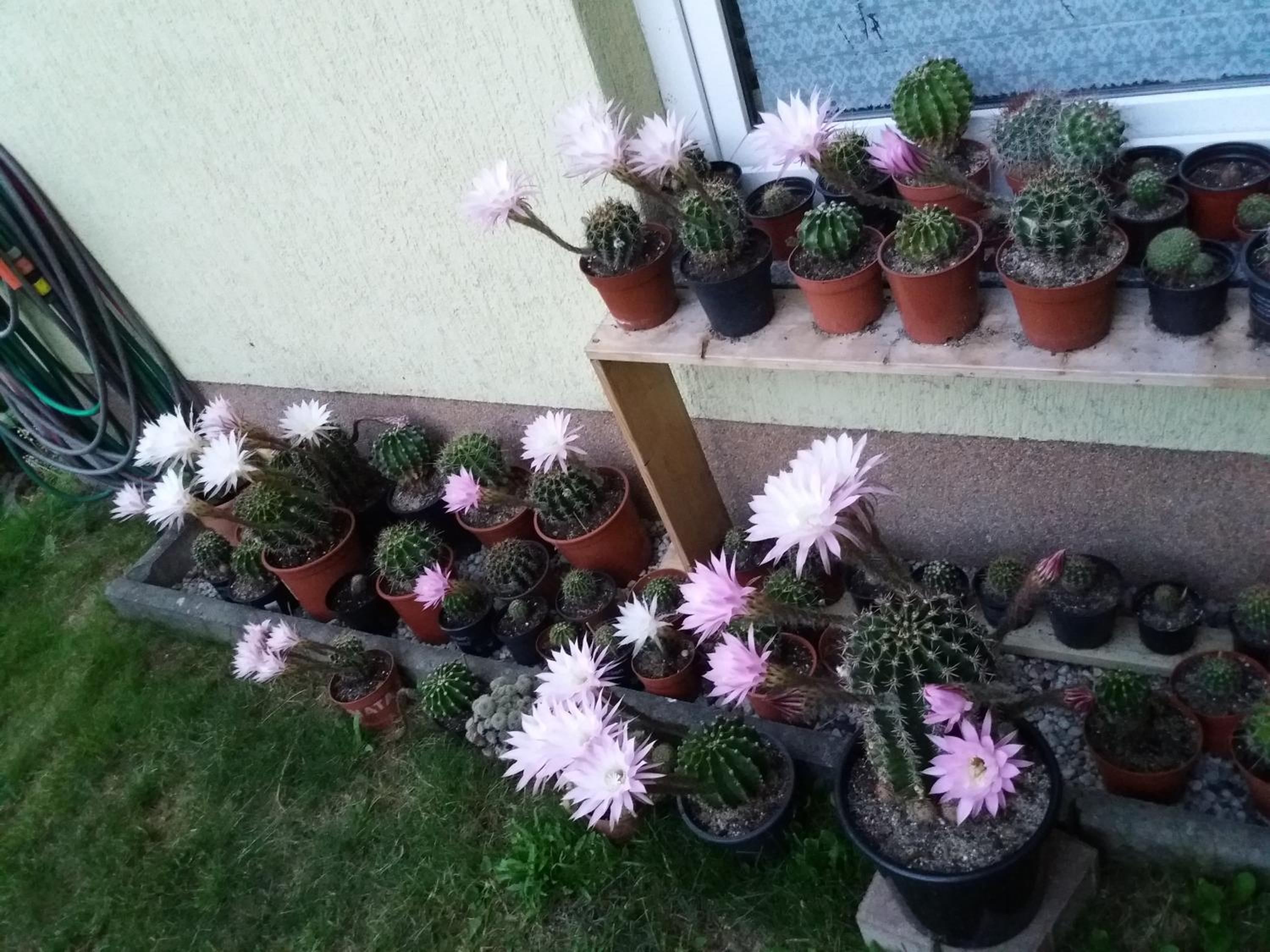 Ferienwohnung Bärbel, Fewo Bärbel
