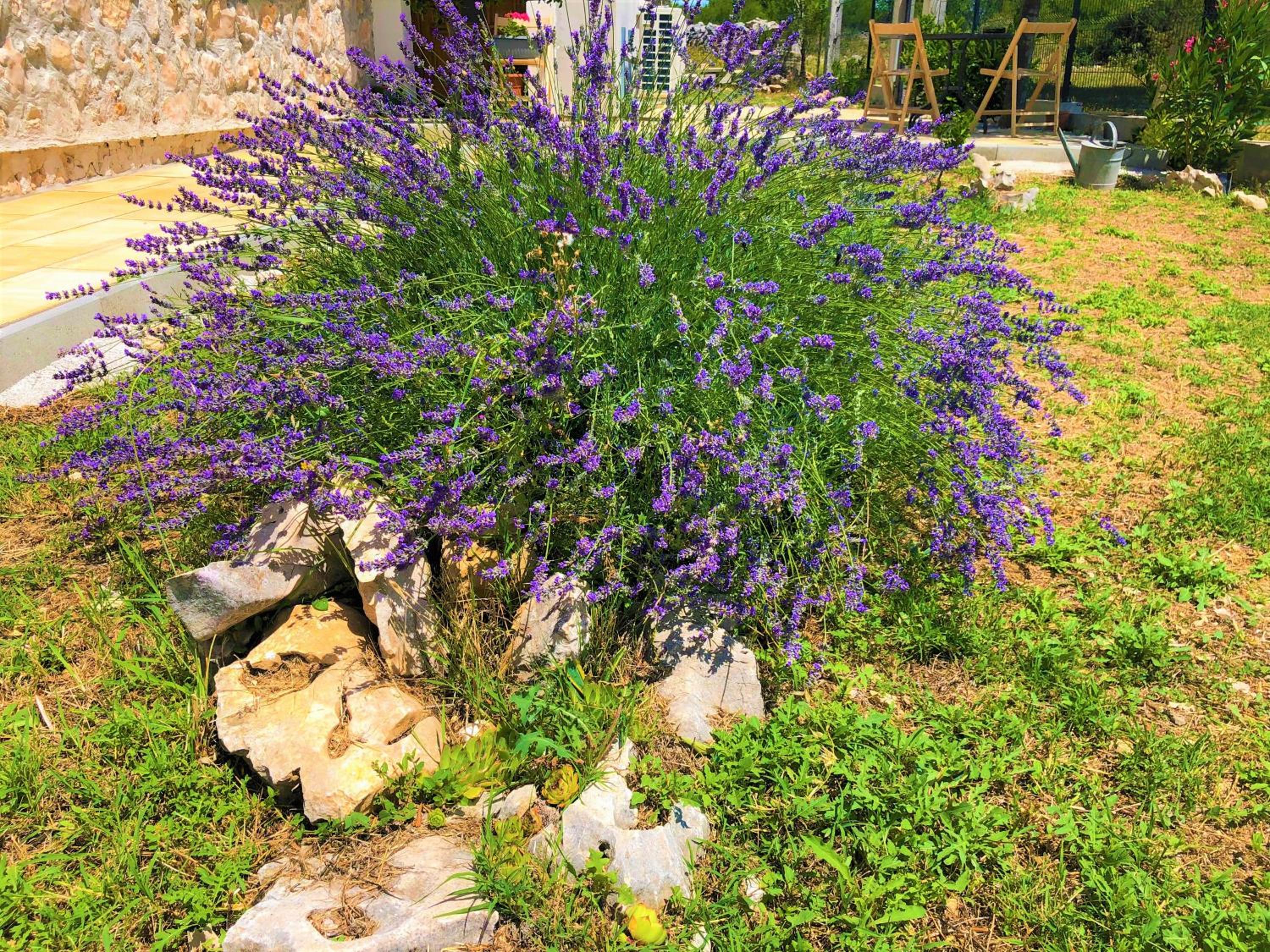 Photo 29