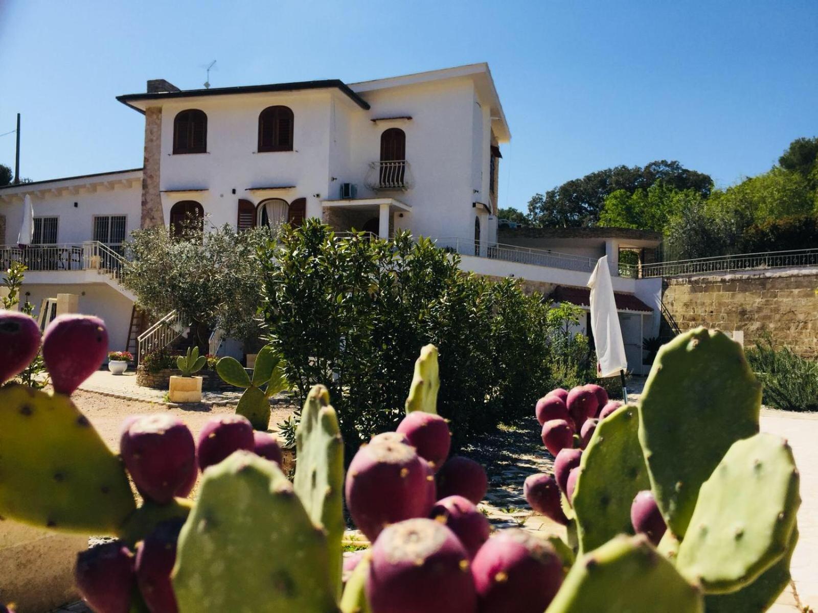 Tenuta Cardinale