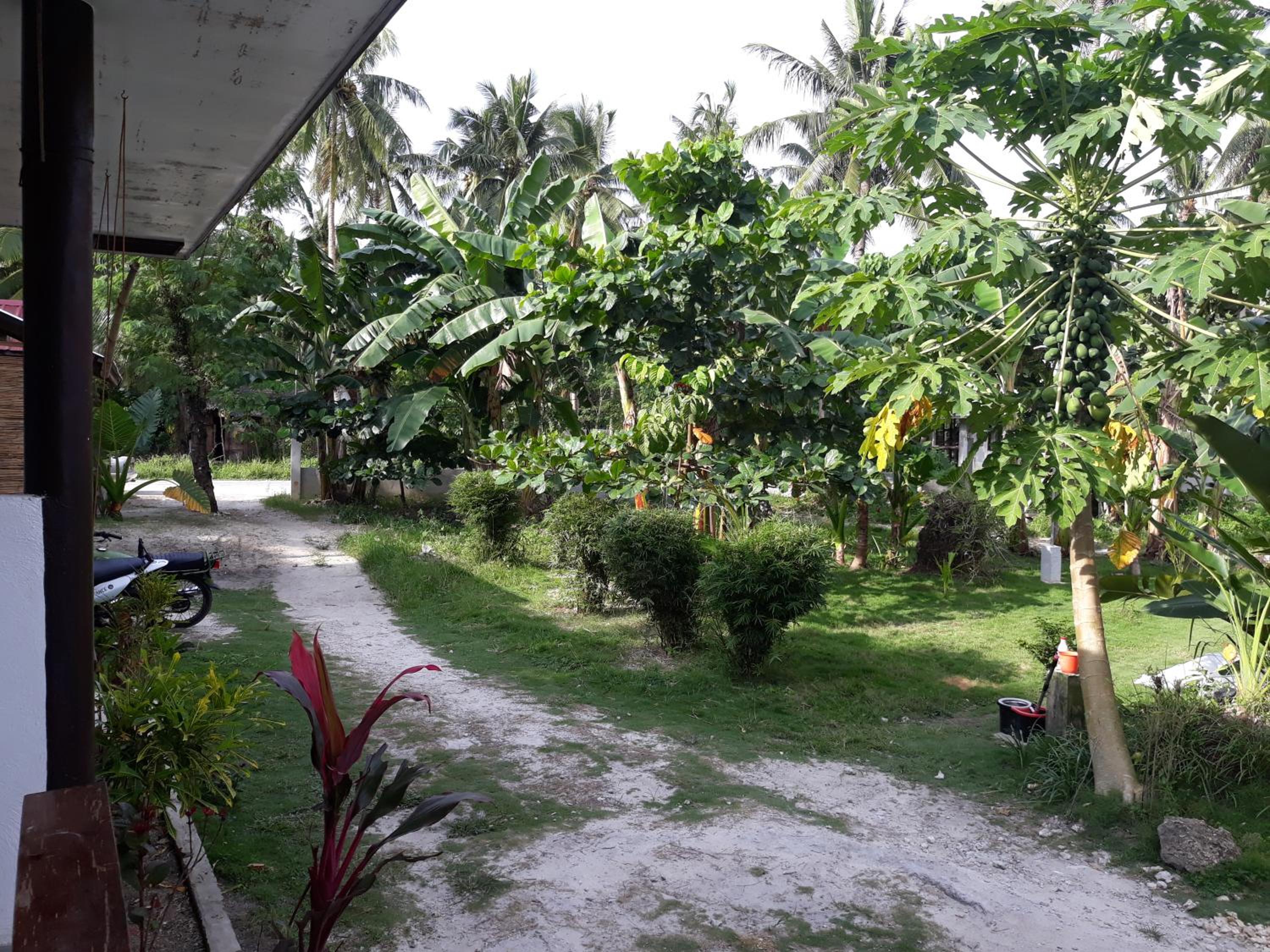 Gardenview Homestay Siargao — photo 91