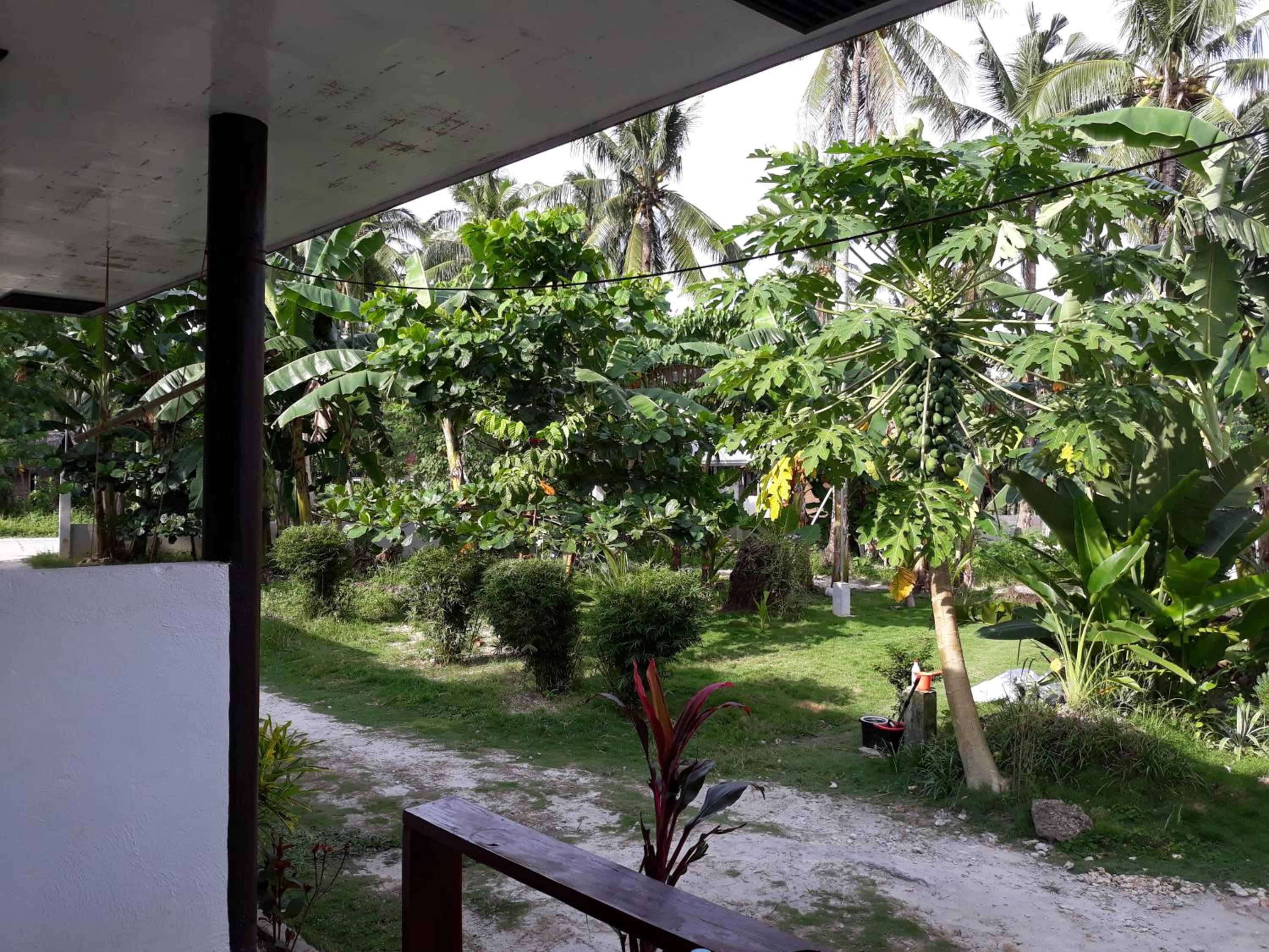 Gardenview Homestay Siargao — photo 246
