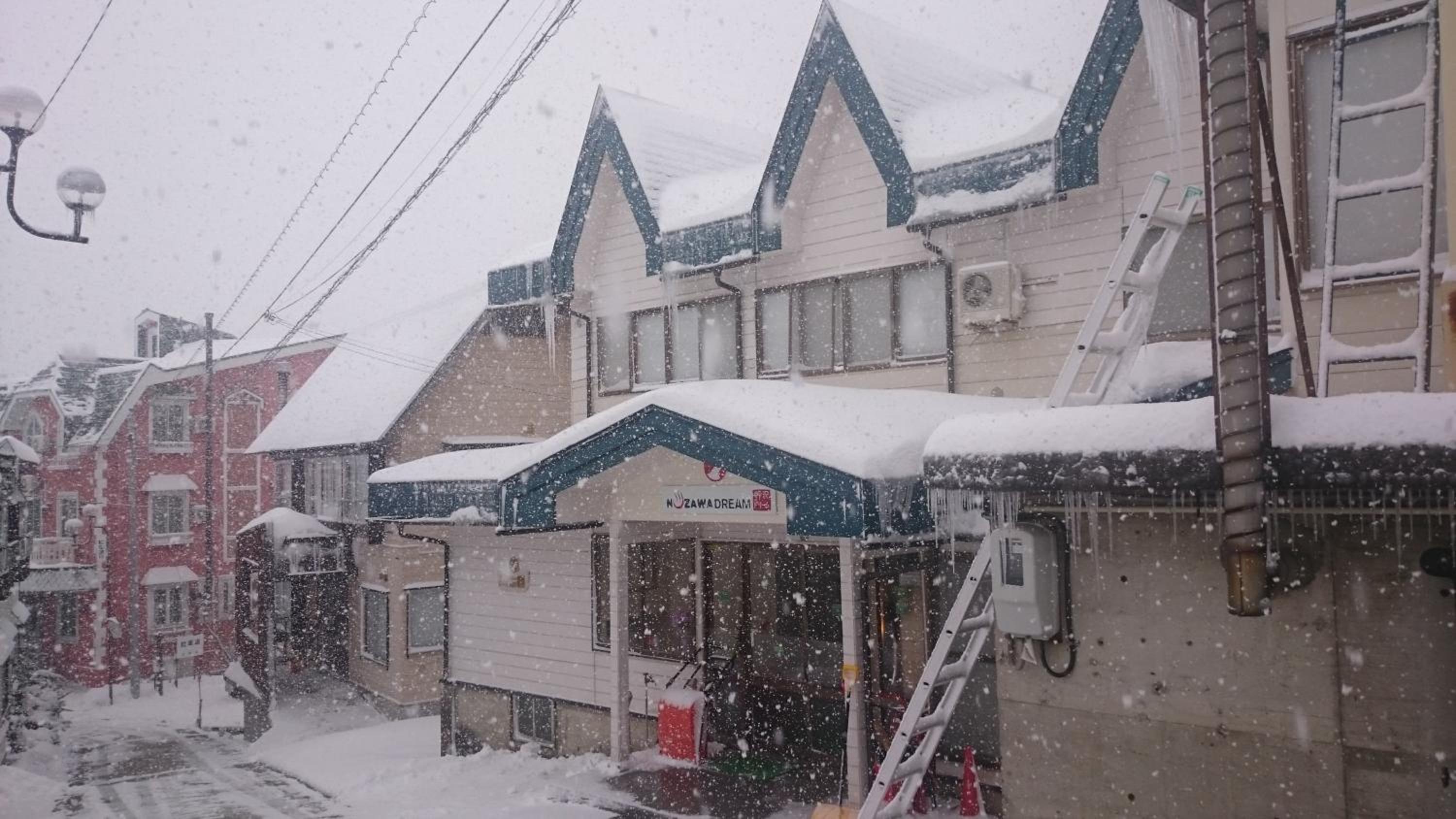 Nozawa Dream
