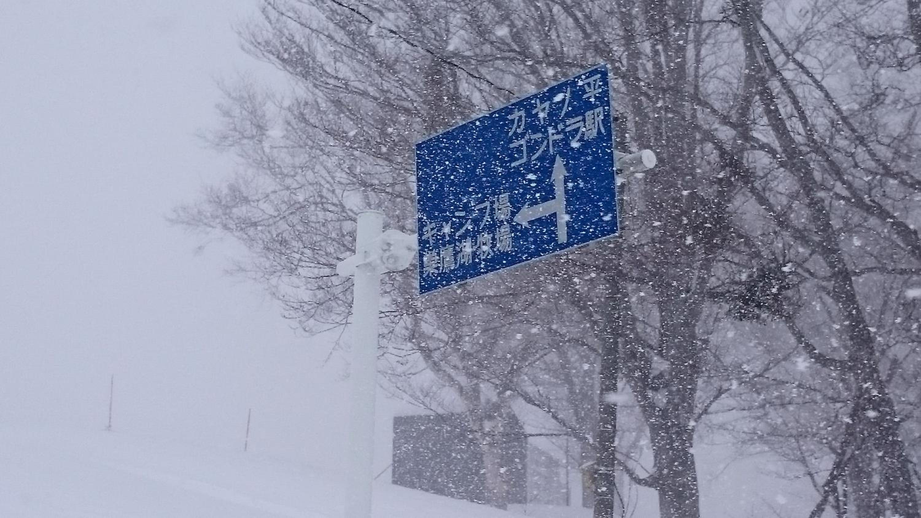 Nozawa Dream