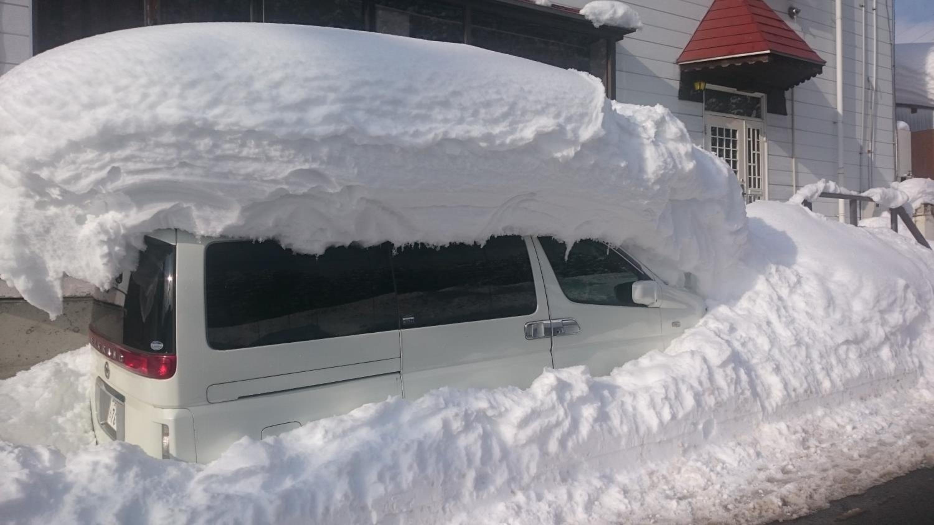 Nozawa Dream