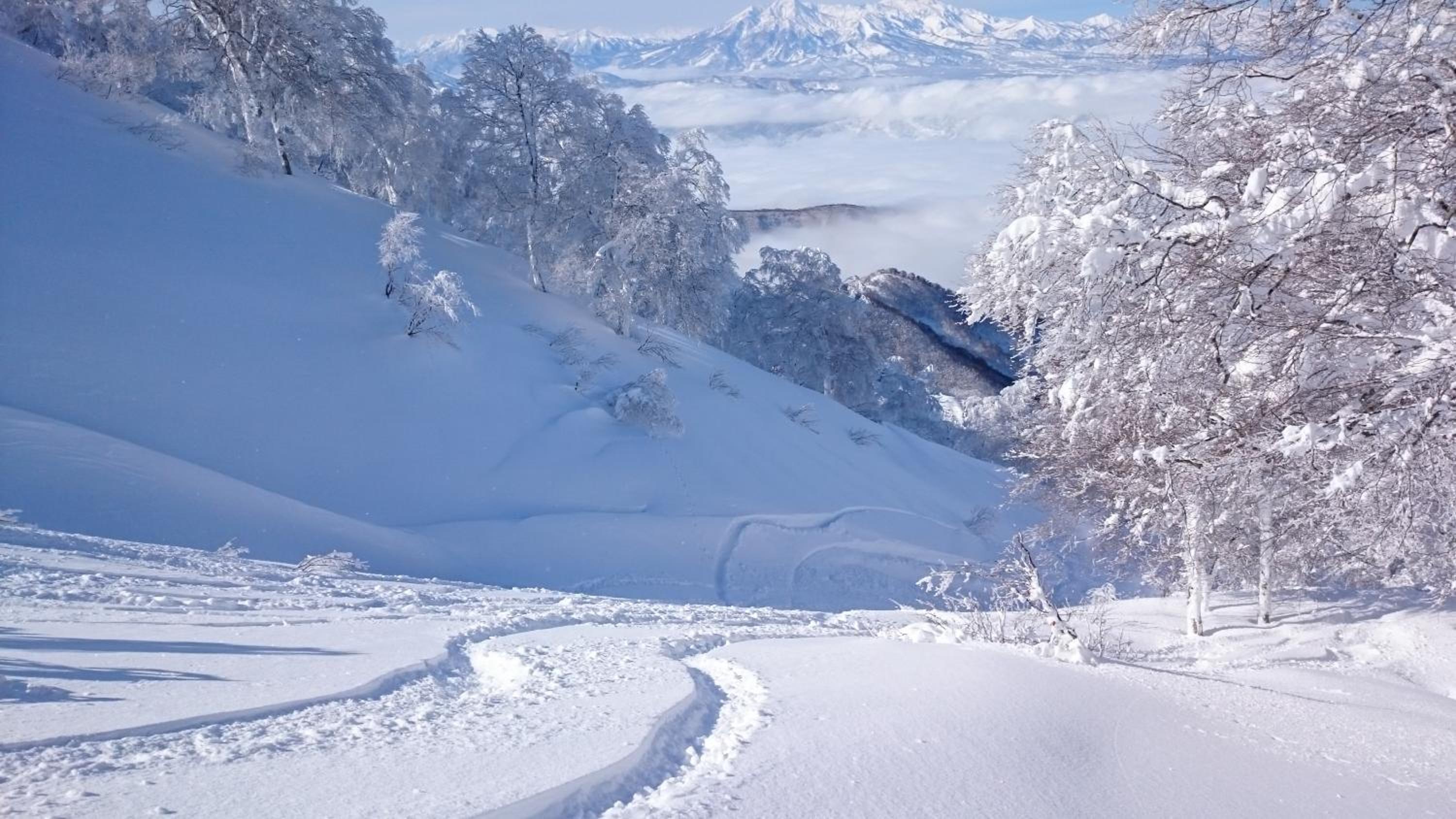 Nozawa Dream
