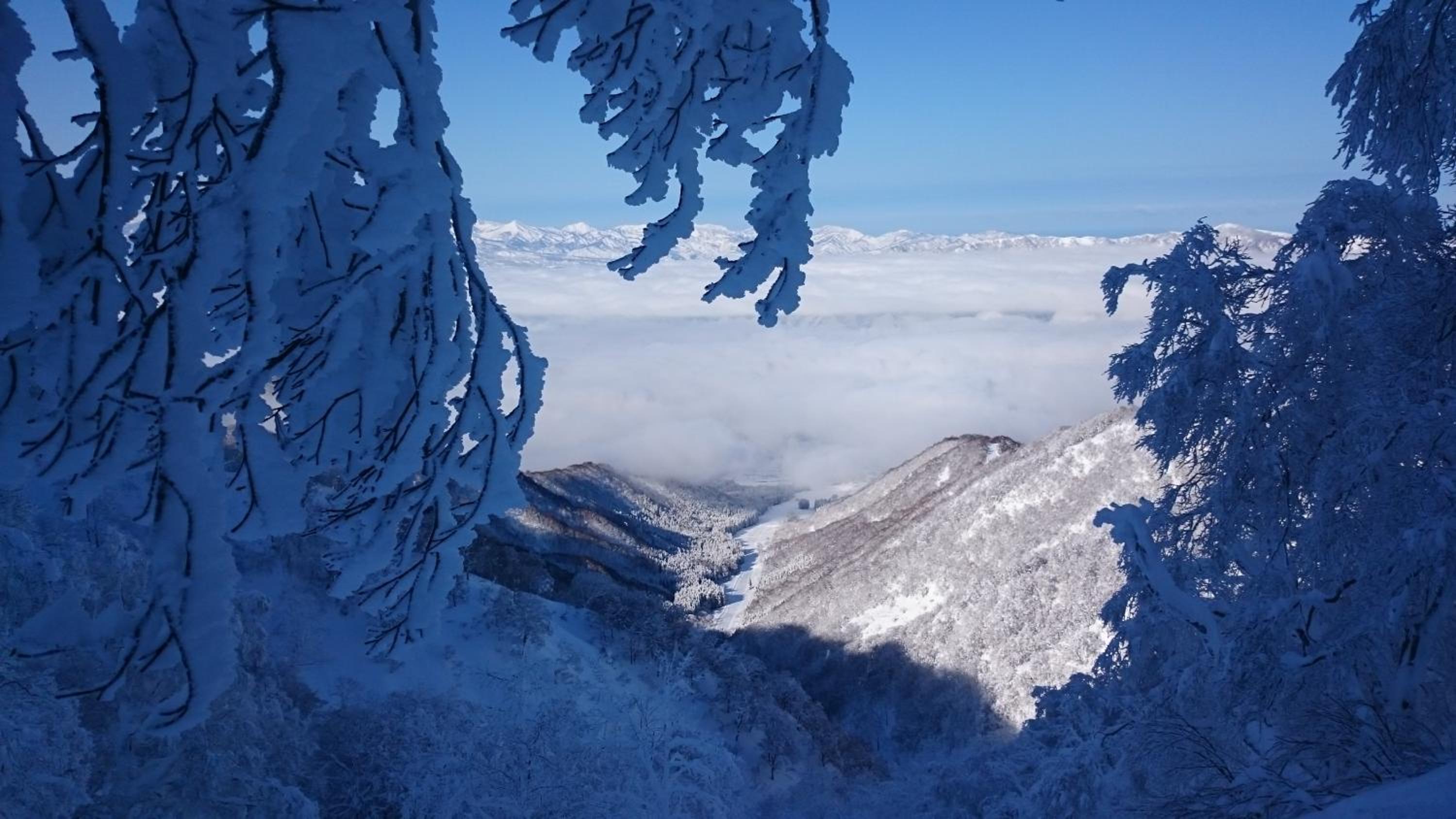 Nozawa Dream