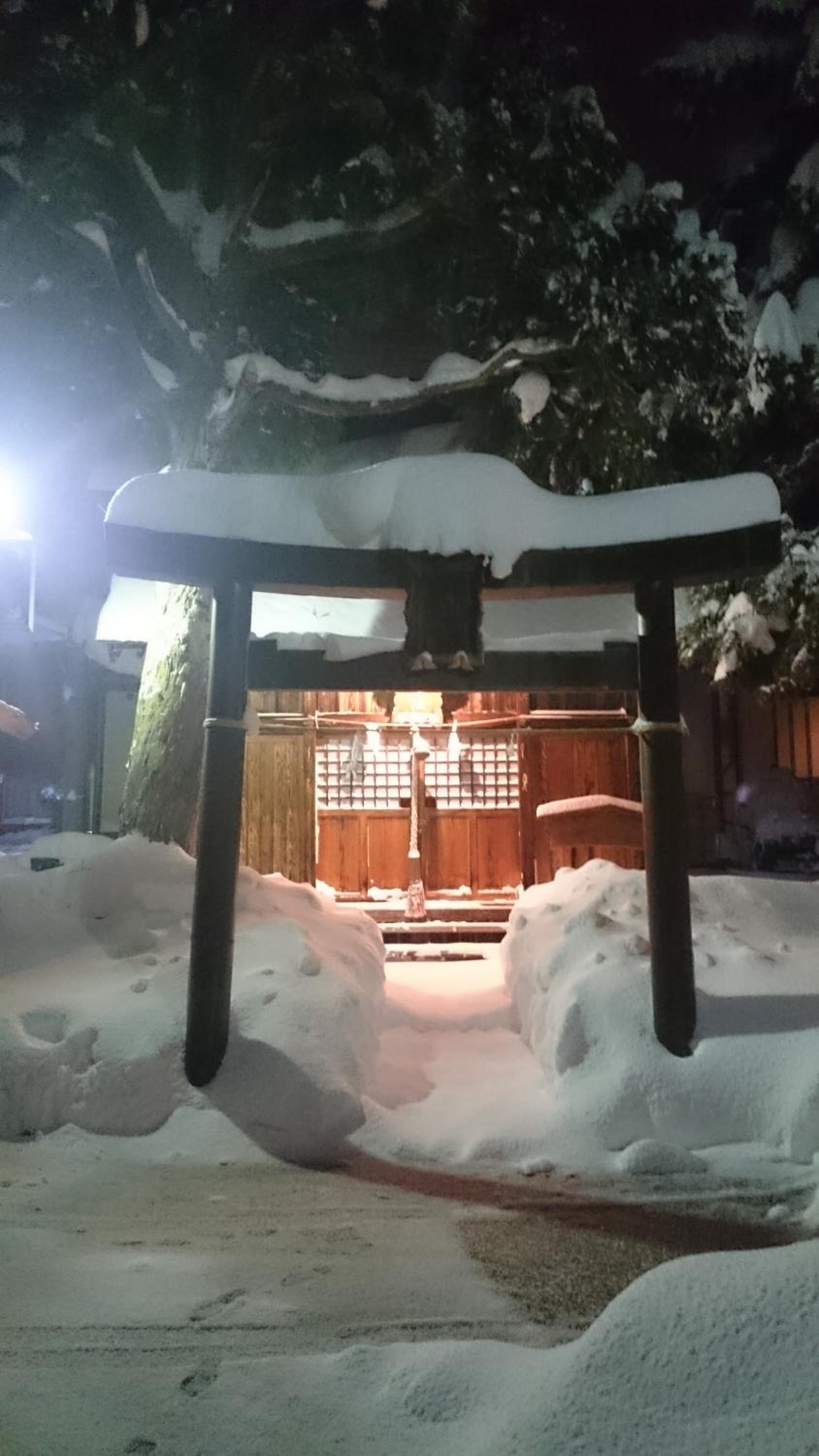 Nozawa Dream