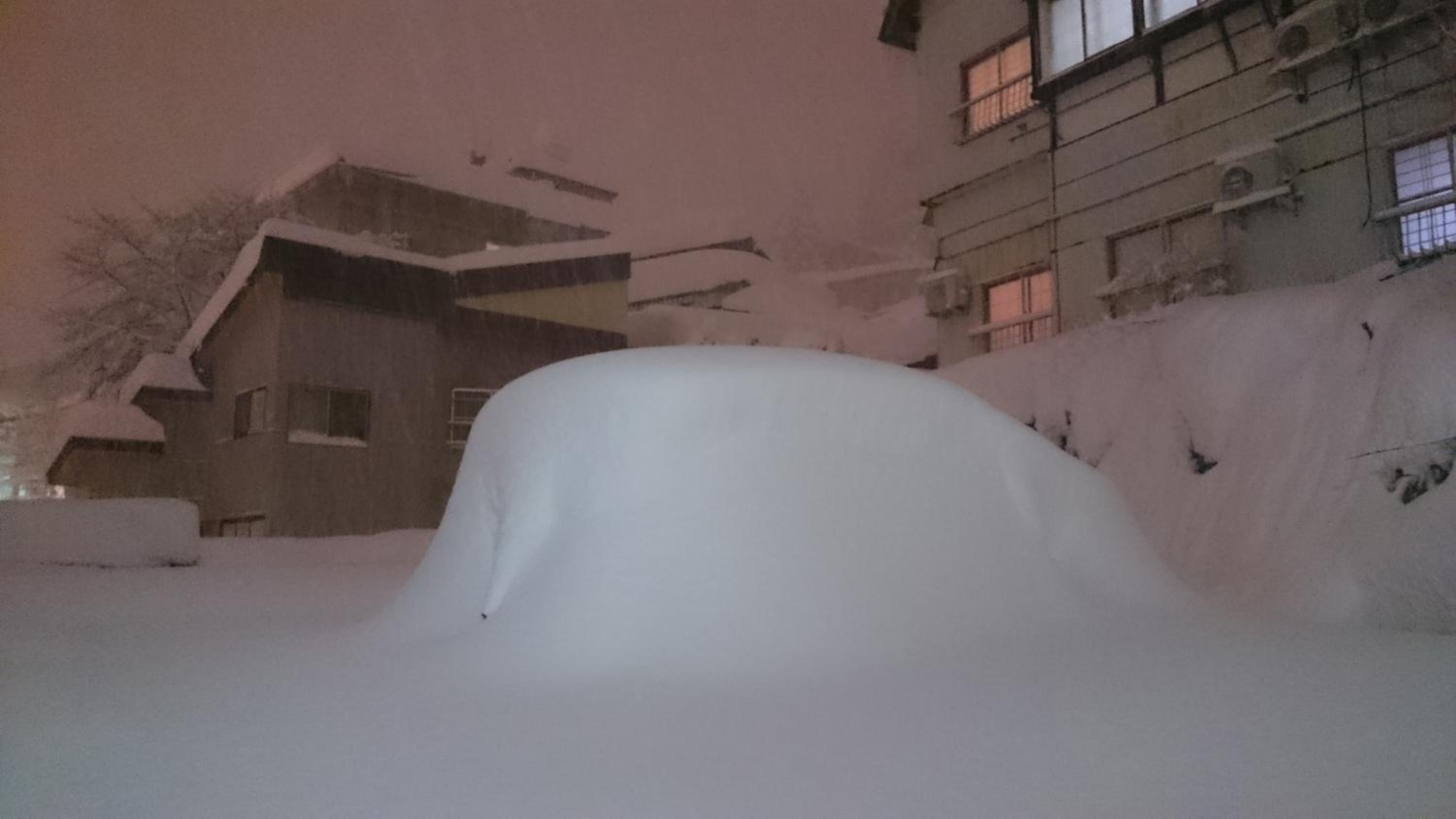 Nozawa Dream