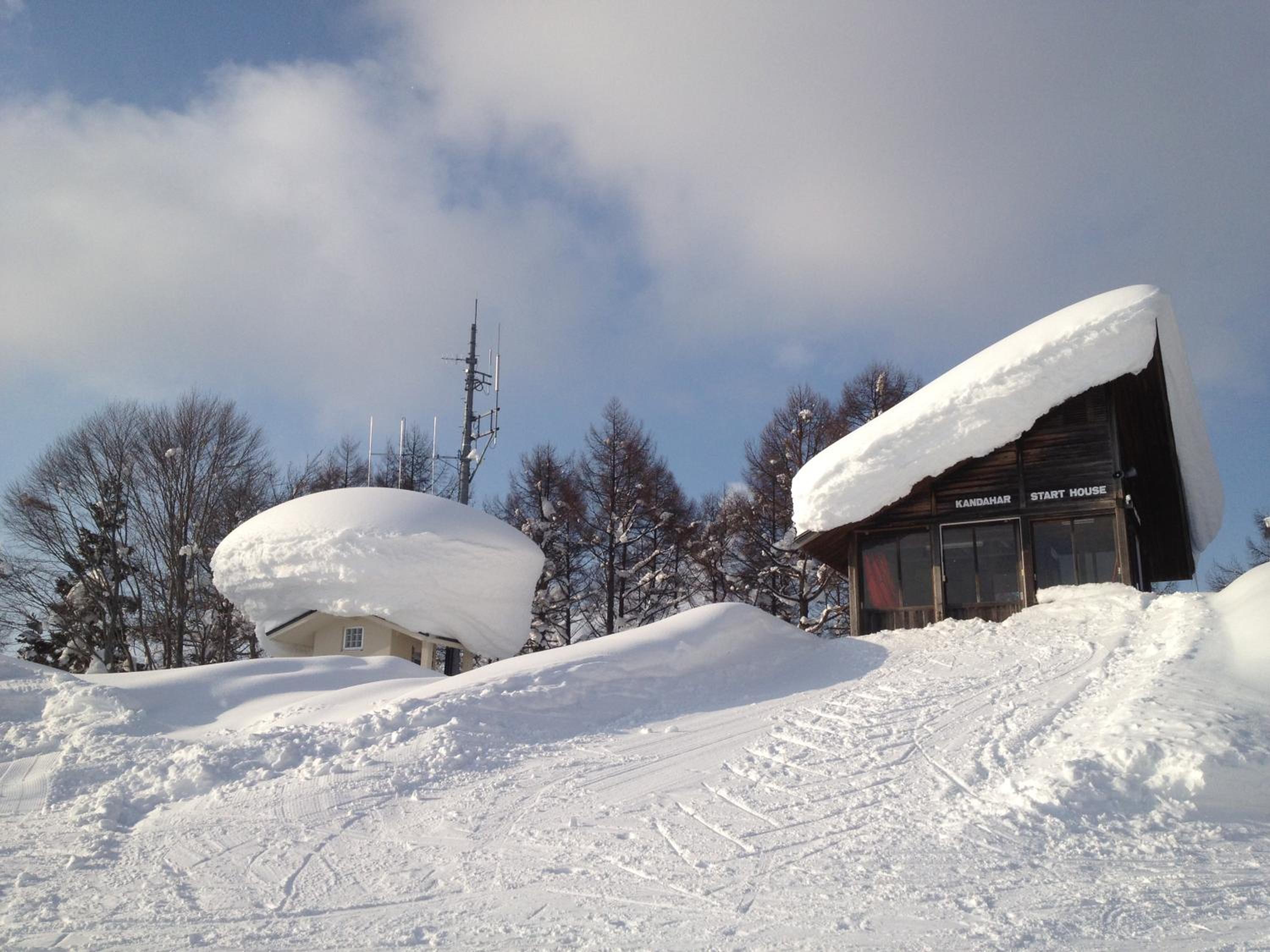 Nozawa Dream