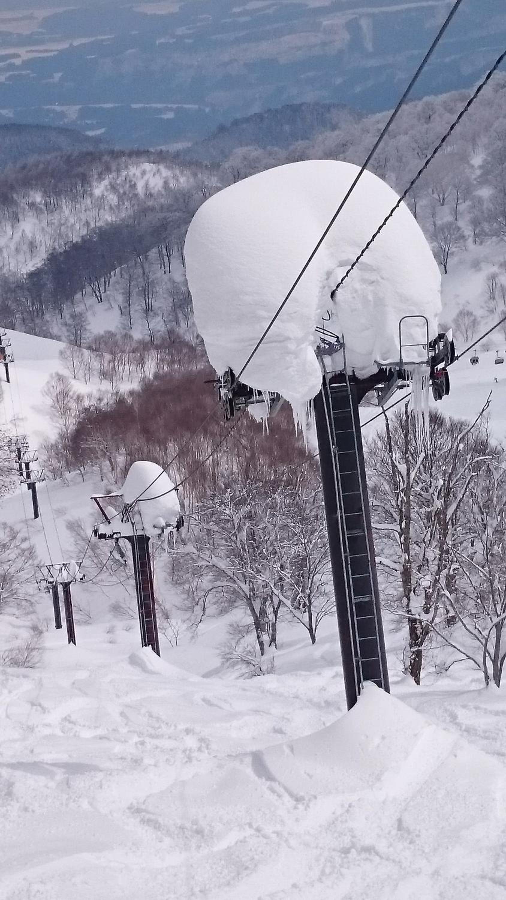 Nozawa Dream