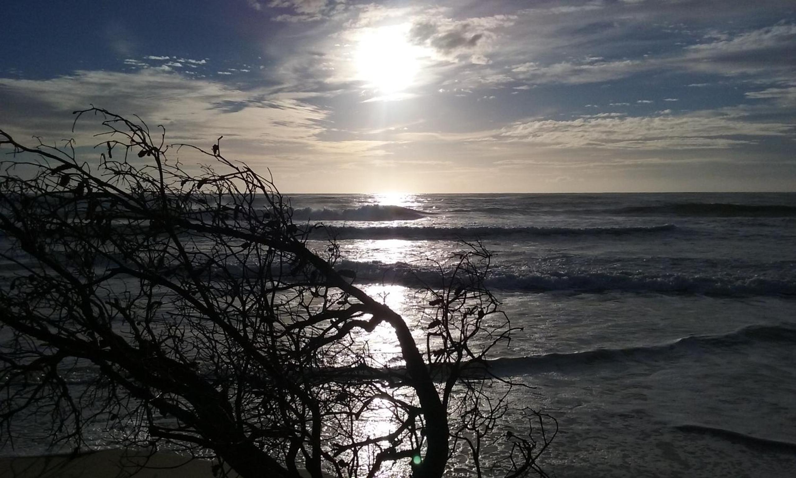 BIG4 Tasman Holiday Parks - Nambucca Heads