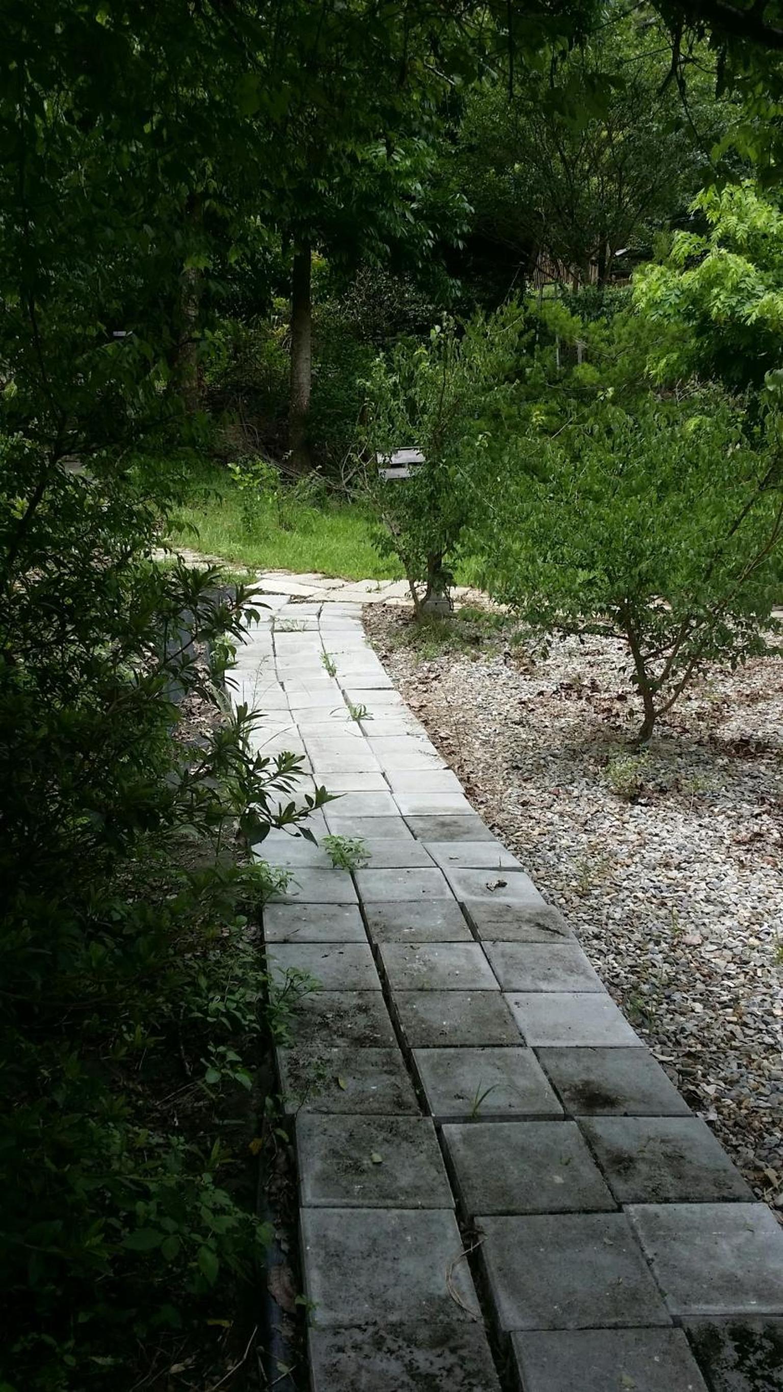 Bright Moon Homestay view 5