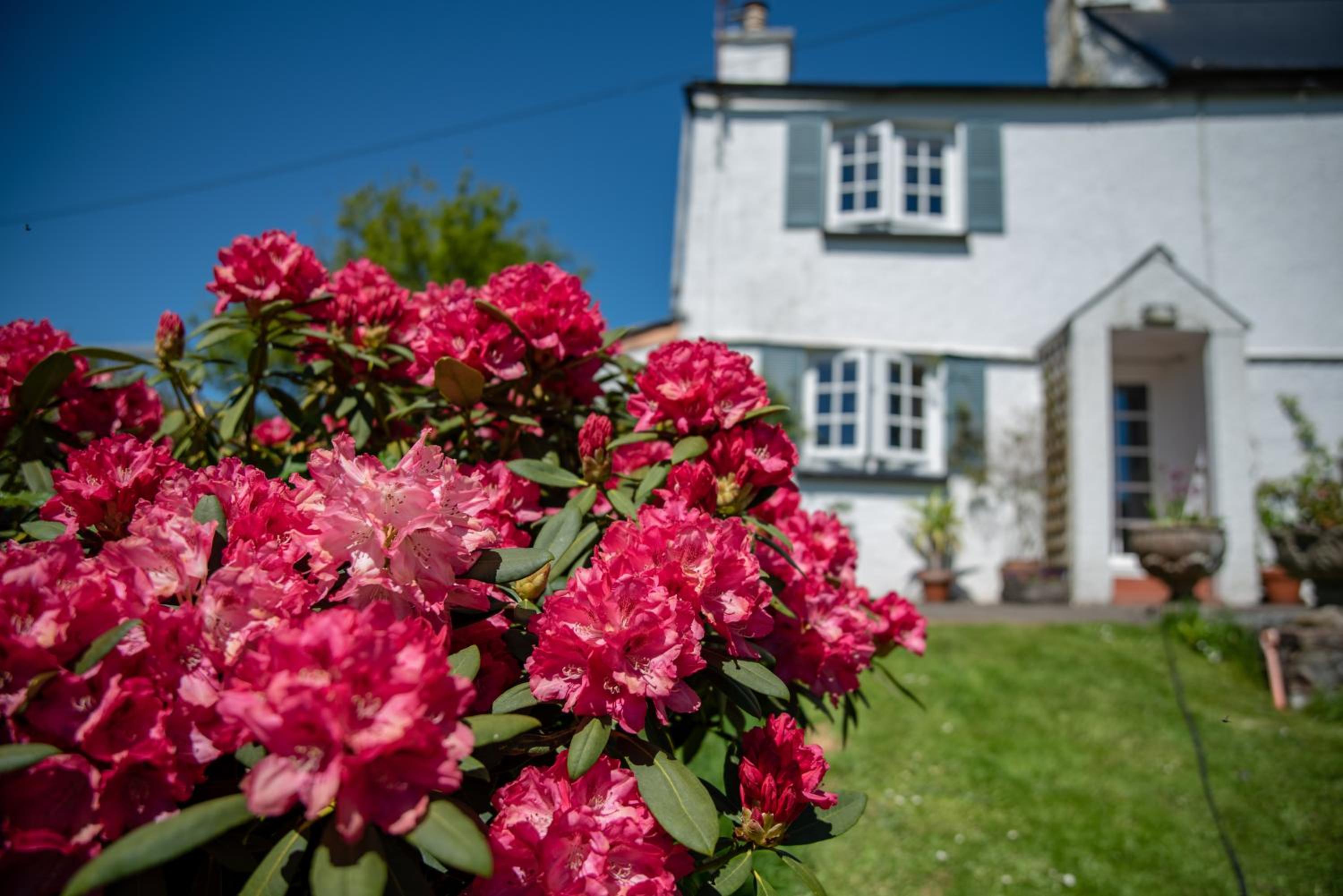 Brentor Self-catering view 5