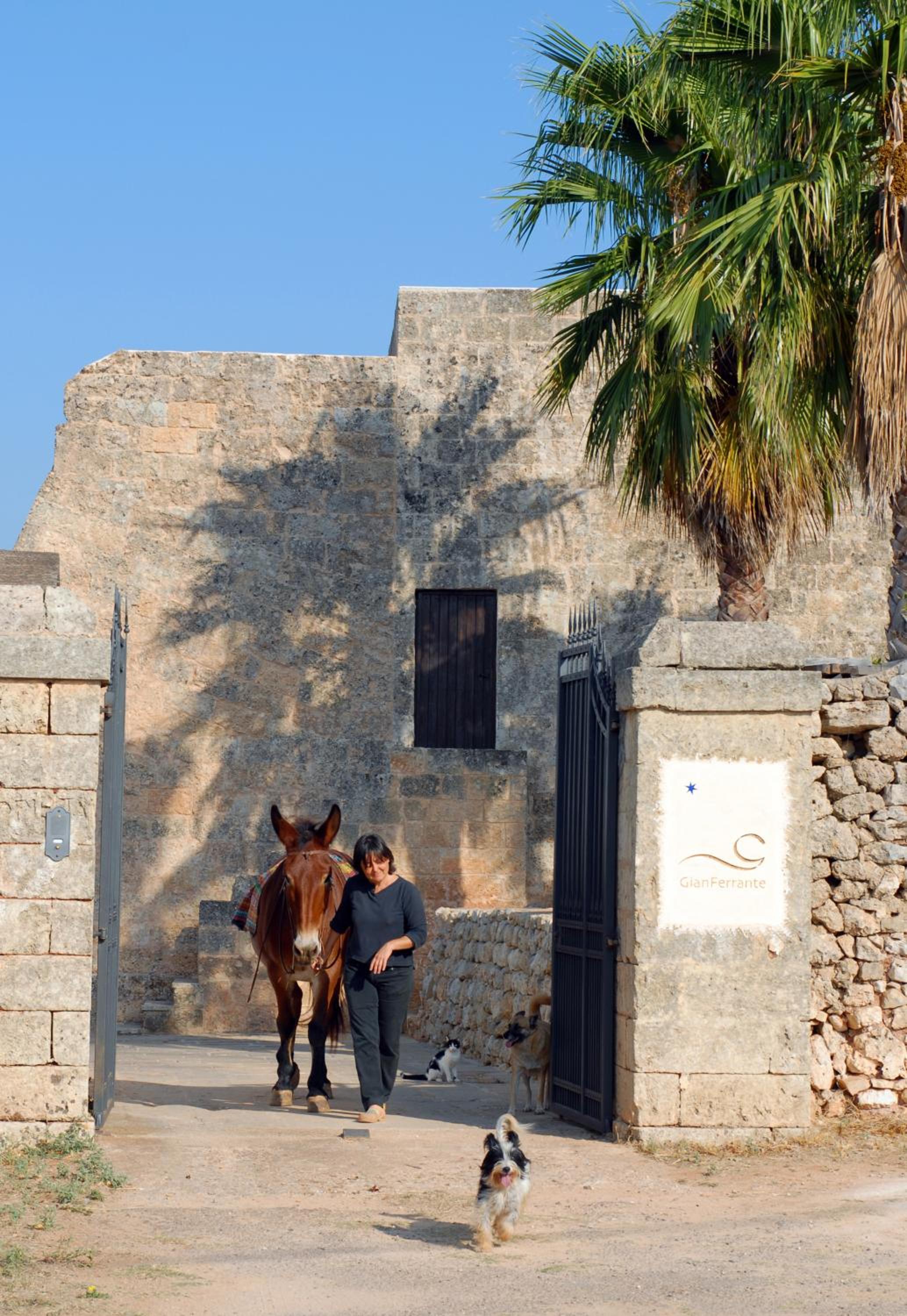 Agriturismo Masseria Gianferrante