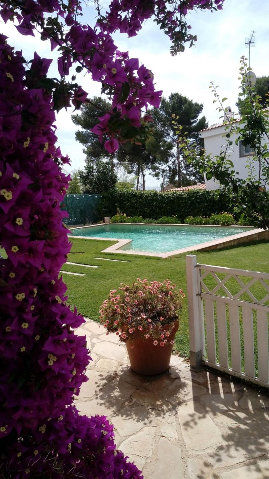 Sunny Holiday Home view 2