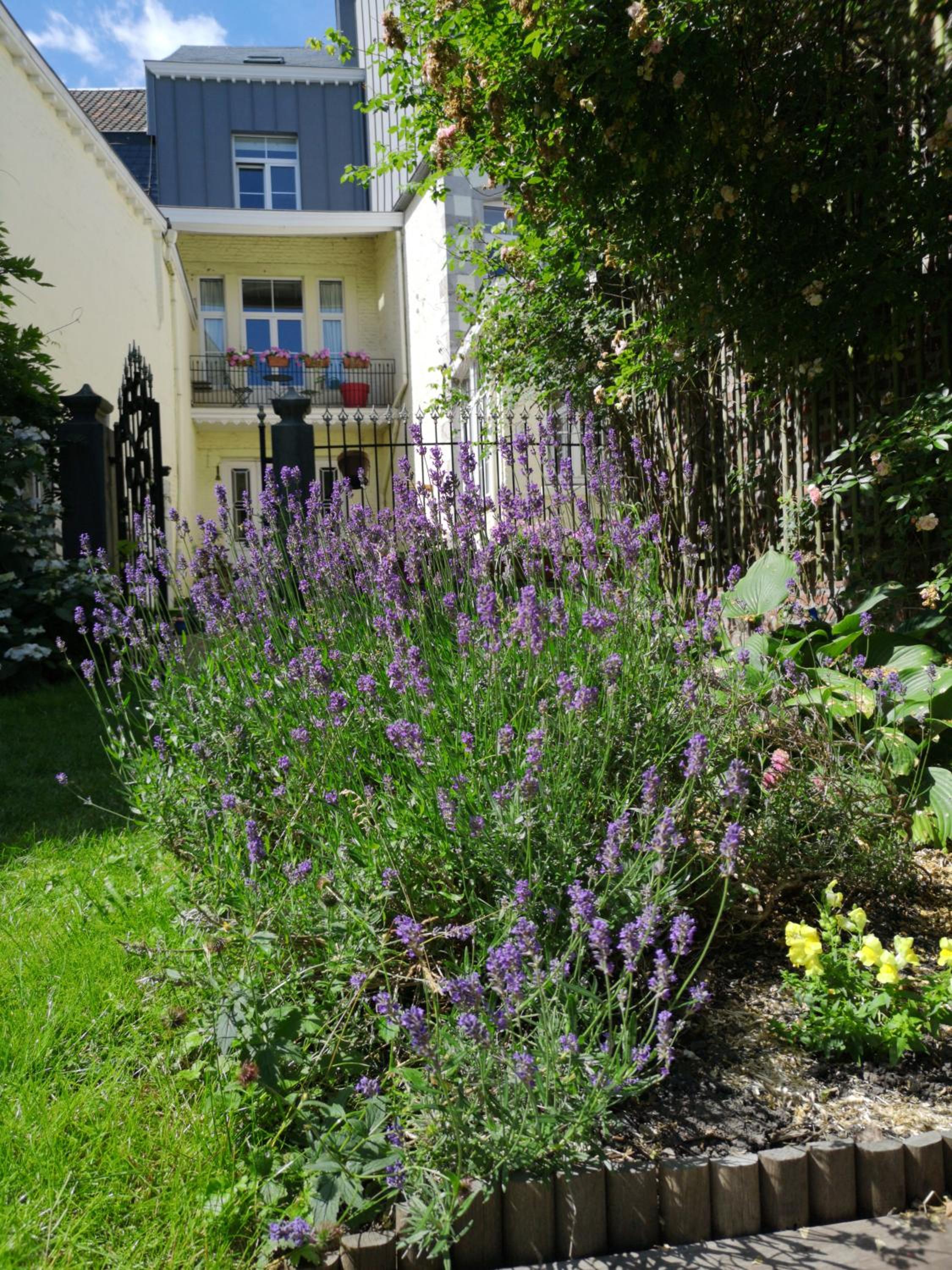 Aux Herbes Folles view 4