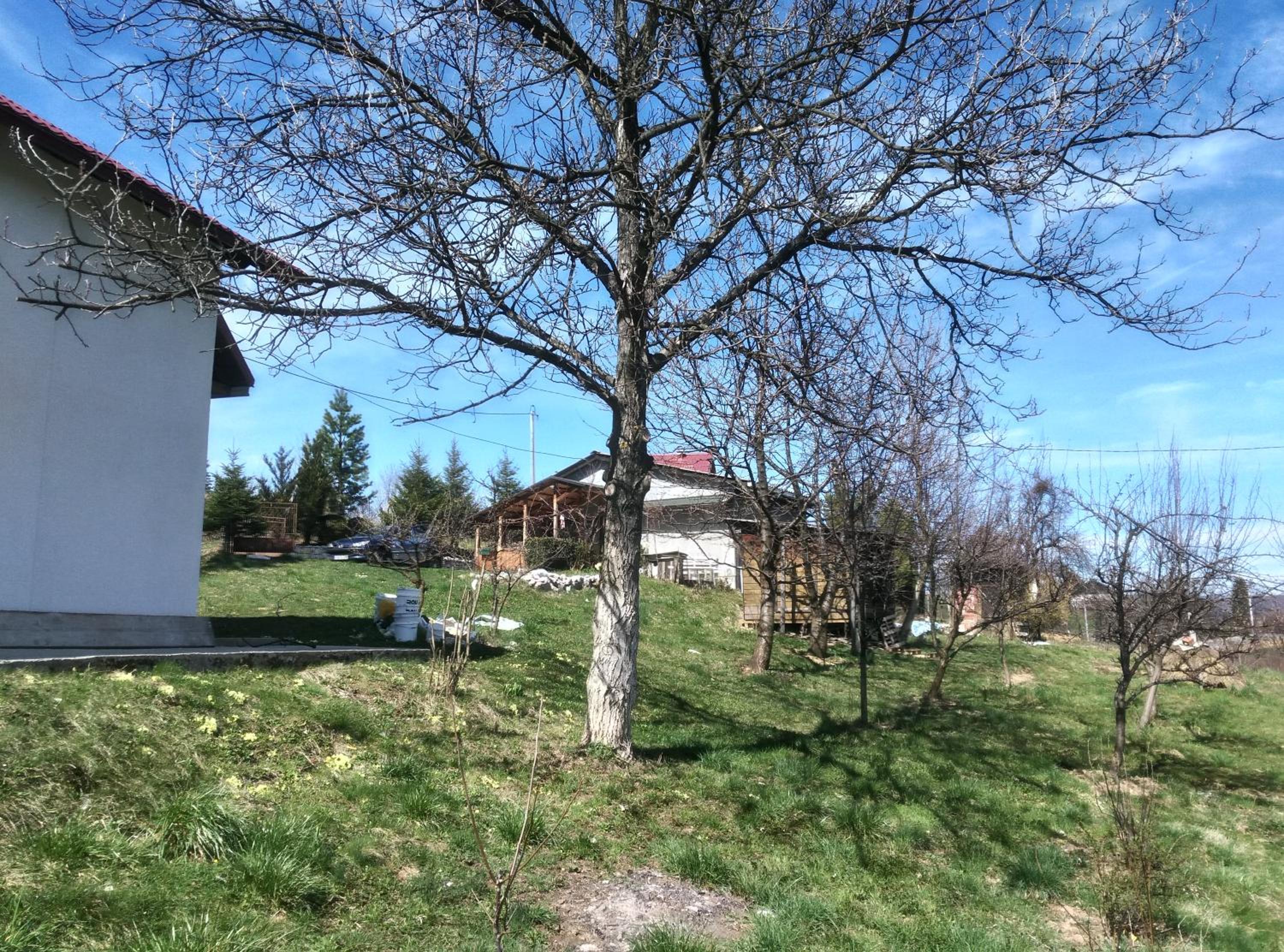 Curovac Nature