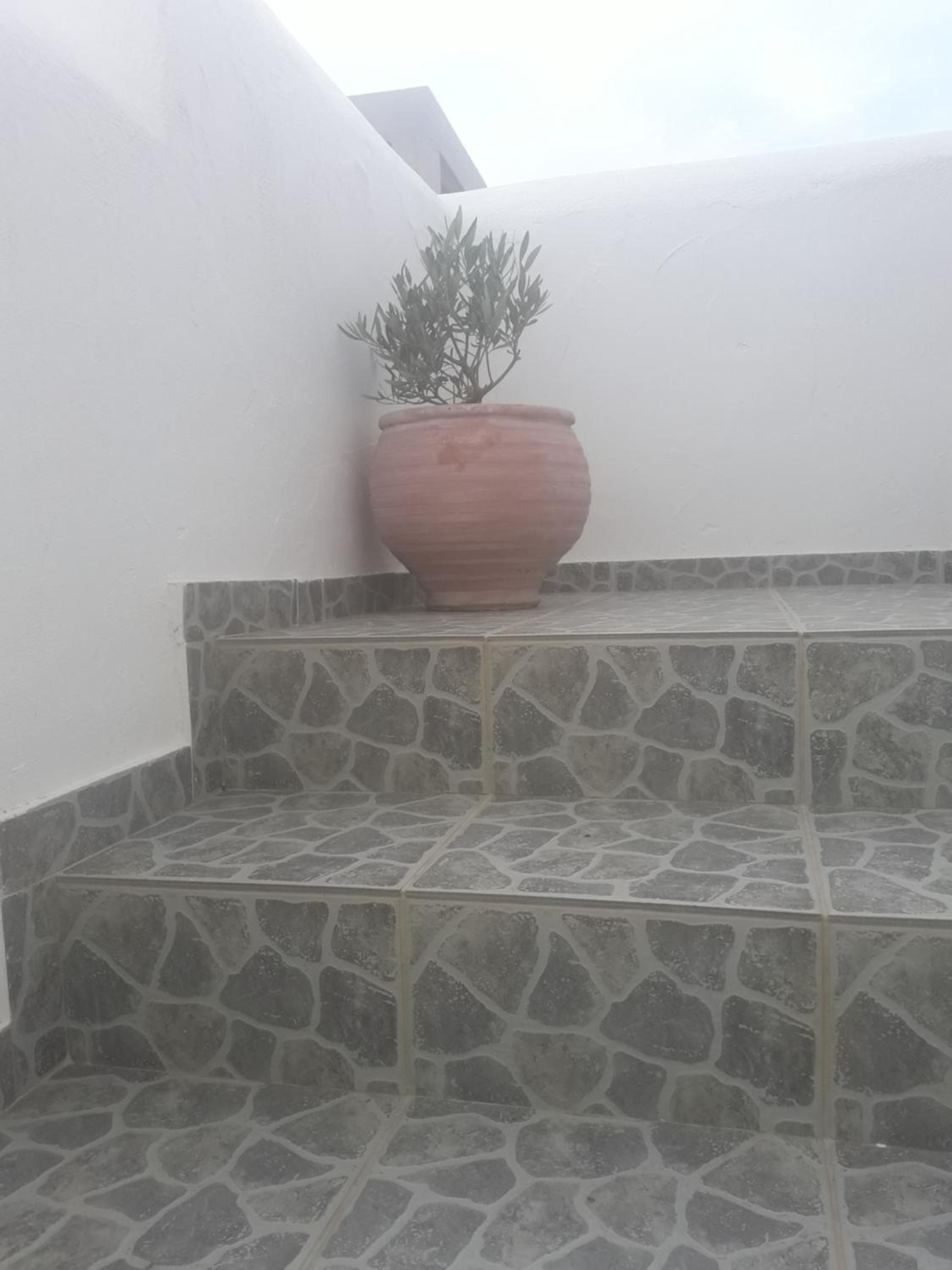 Studio Tolakis