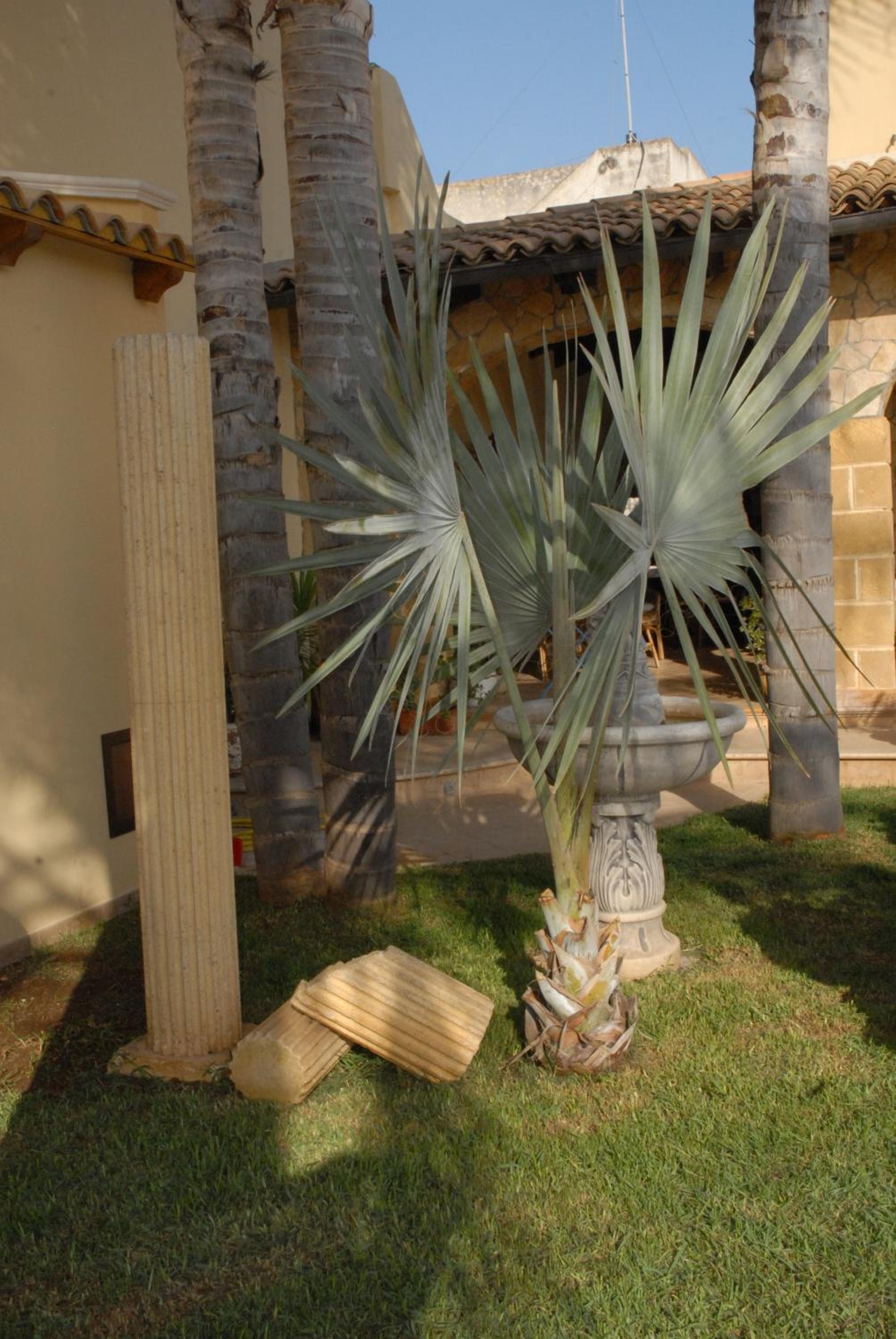 Suite Margarita