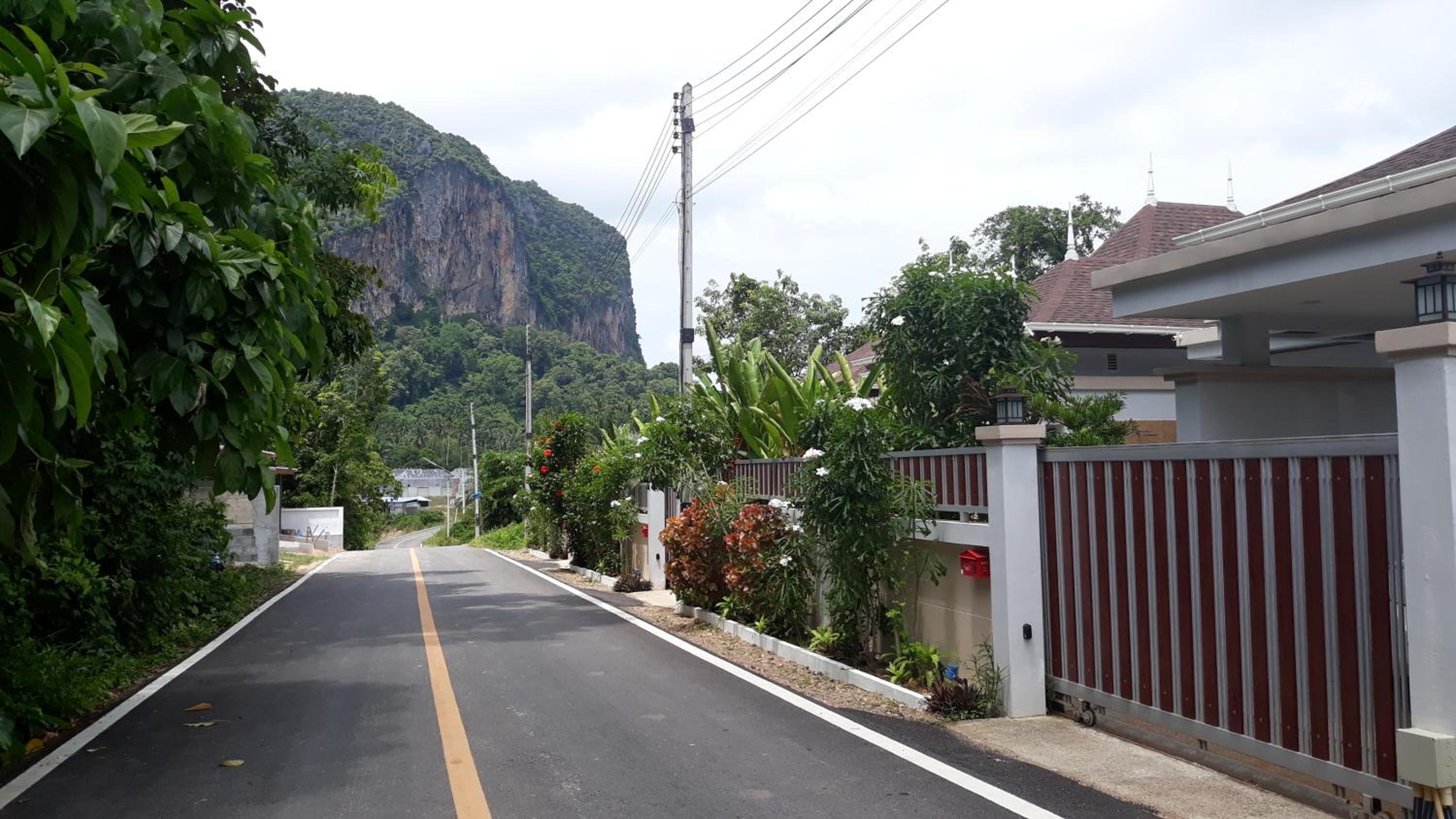 Photo 19