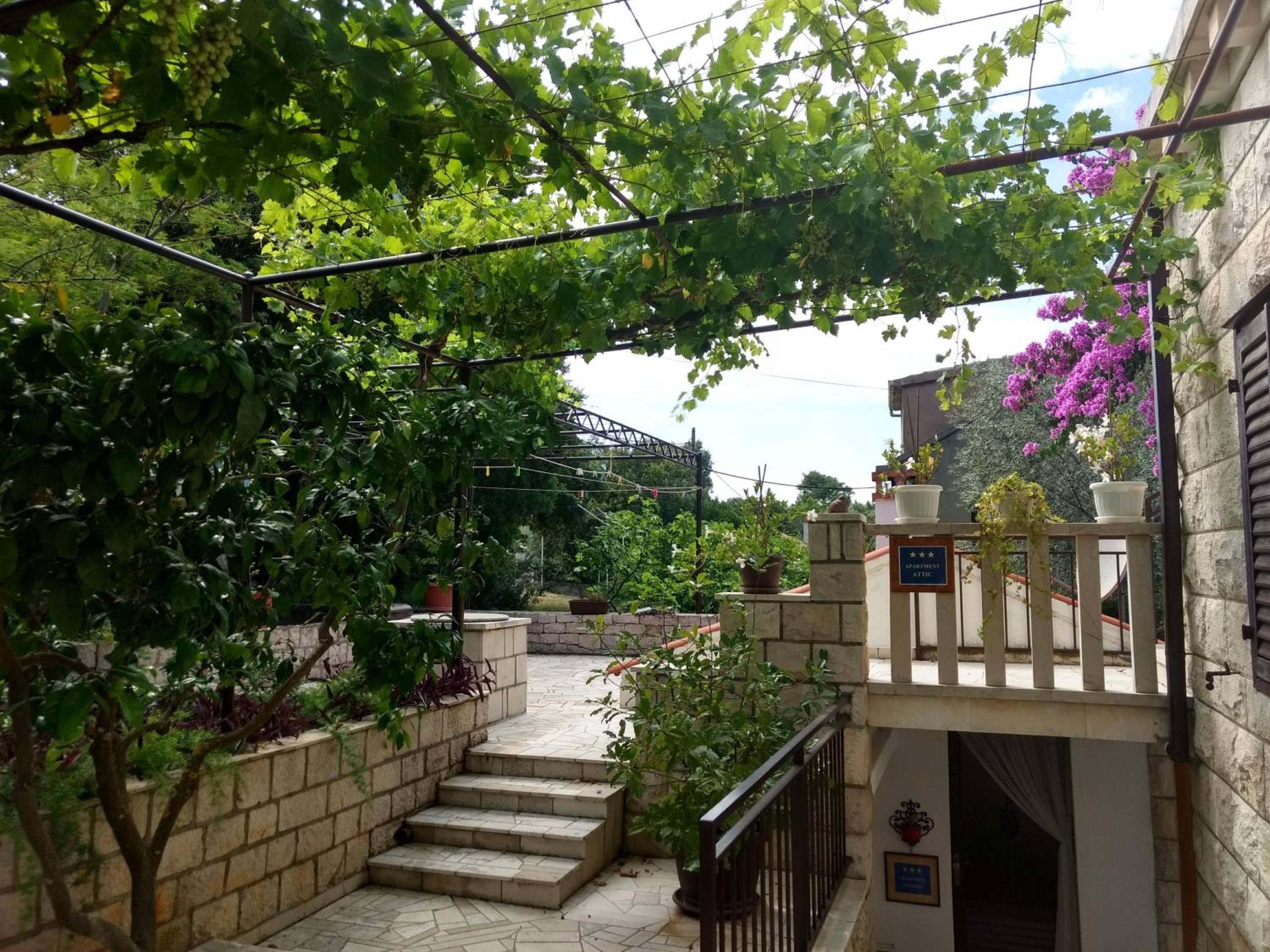 Attic Katić view 5
