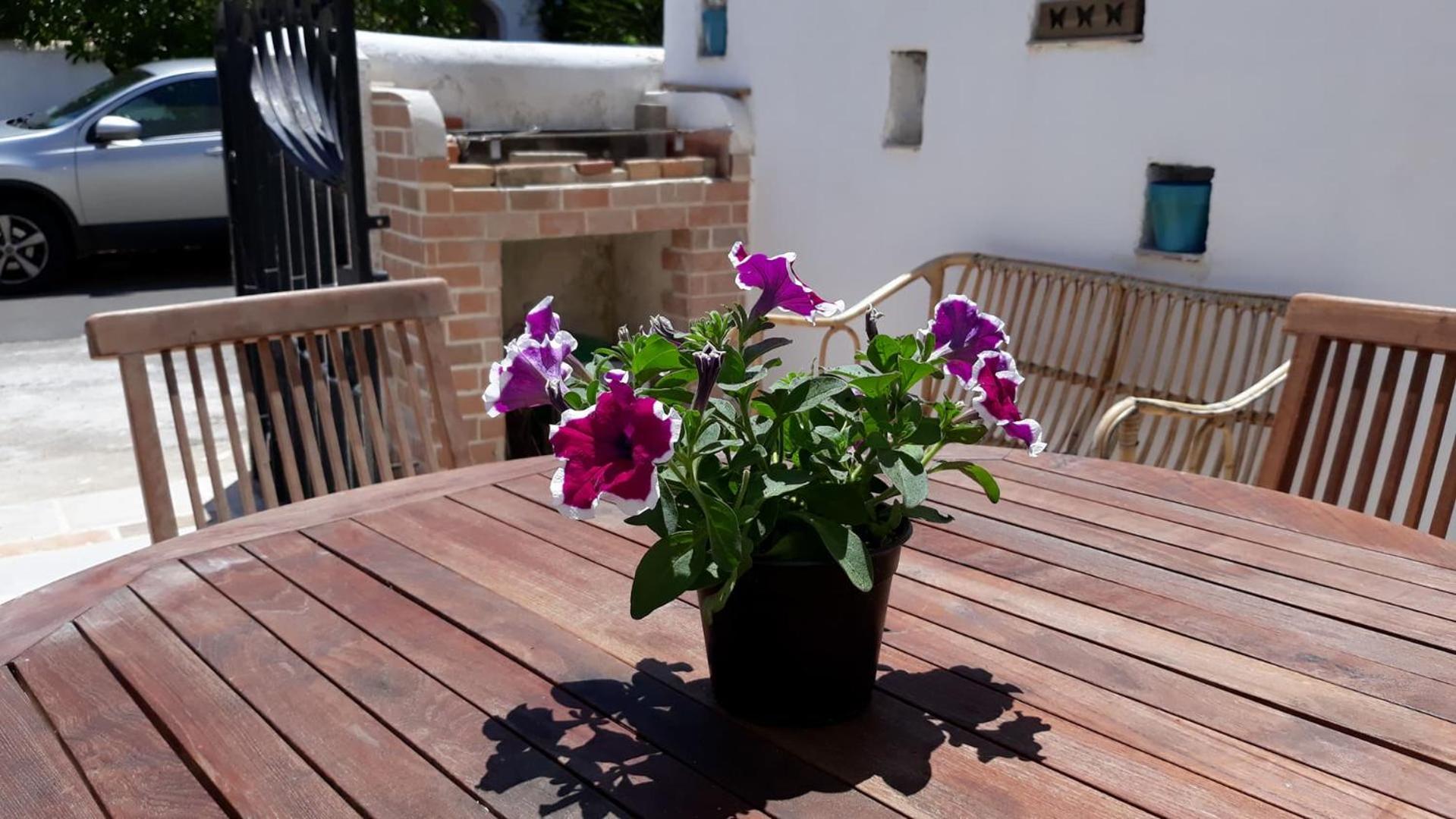VILLINO DOLORES 30 MT MARE photo 3