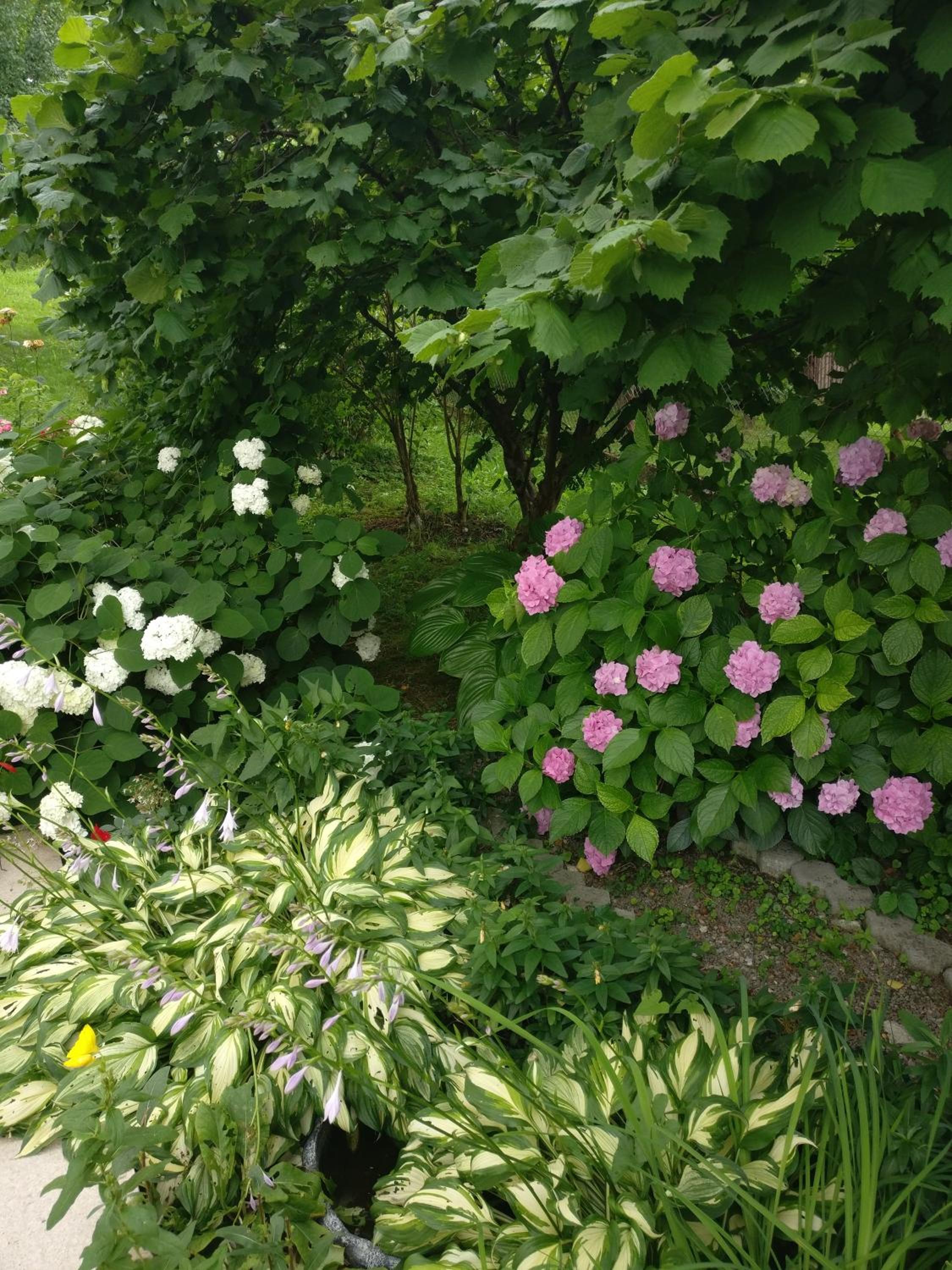 Photo 29