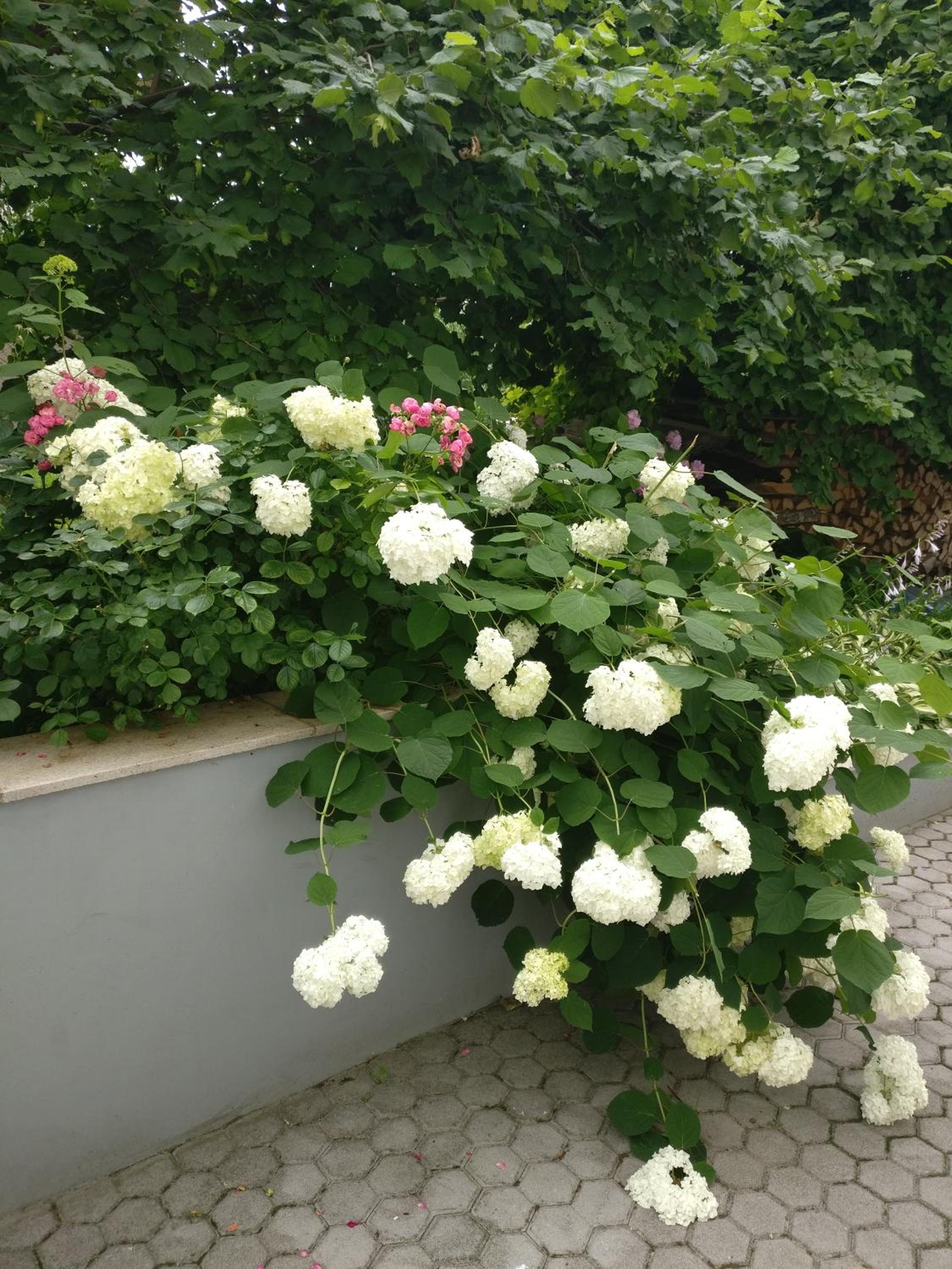 Photo 30